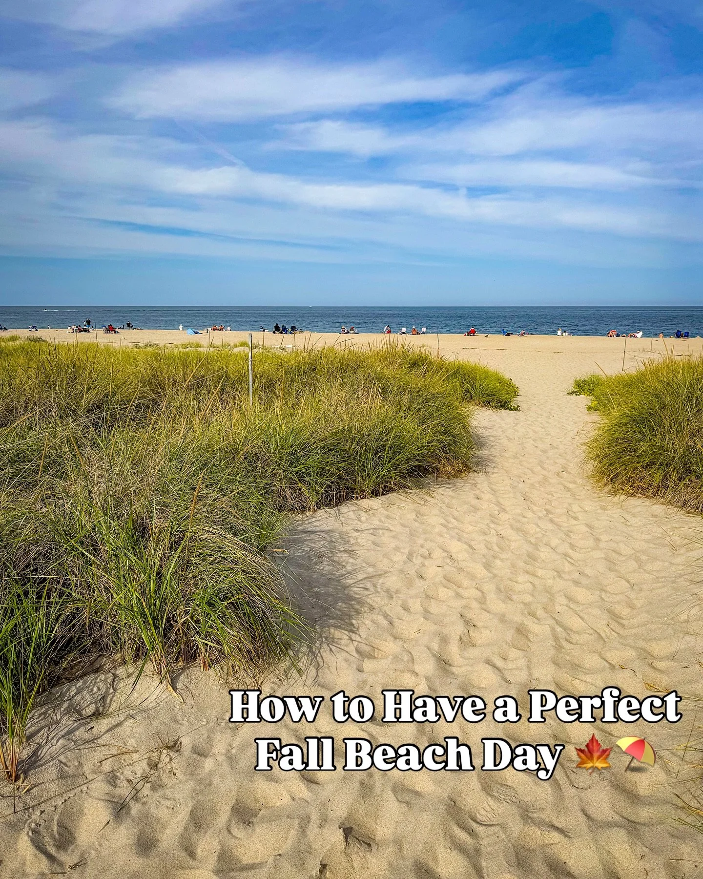 How to Have a Perfect Fall Beach Day at Crane Beach 🍁⛱️

I visited Crane Beach for the very first time a couple of years ago, and it immediately became my absolute favorite beach!

📍 Crane Beach is a Trustees property (@thetrustees), located on the