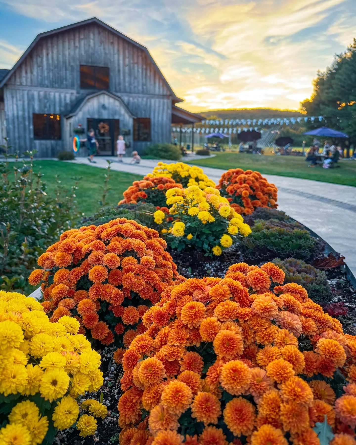 Hello October! 🎃 👋 

My absolute favorite month has arrived! It happens to be my birthday month and the anniversary month of when I started New England Chickadee! 🍂

To close out September and welcome in the new month I'm sharing a recap of a few 