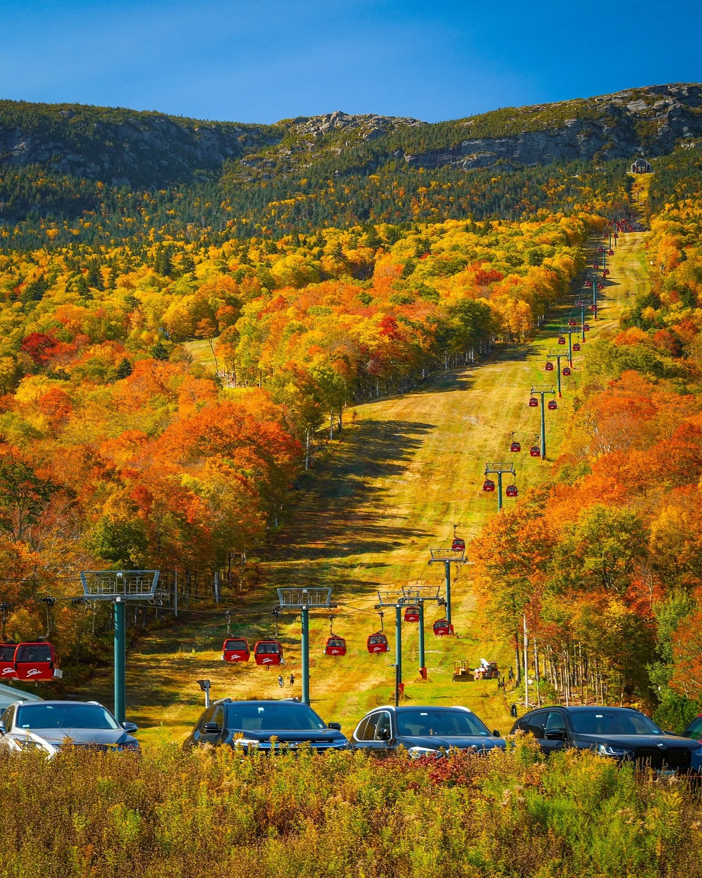 The place where all your fuzzy cow dreams come true! 🐮🍂

Sharing a few of my favorite scenes and our itinerary from this year&rsquo;s fall visit to Stowe, Vermont &mdash; including ending the day in a whole field of fuzzy cows!

🔗 For my full Stow