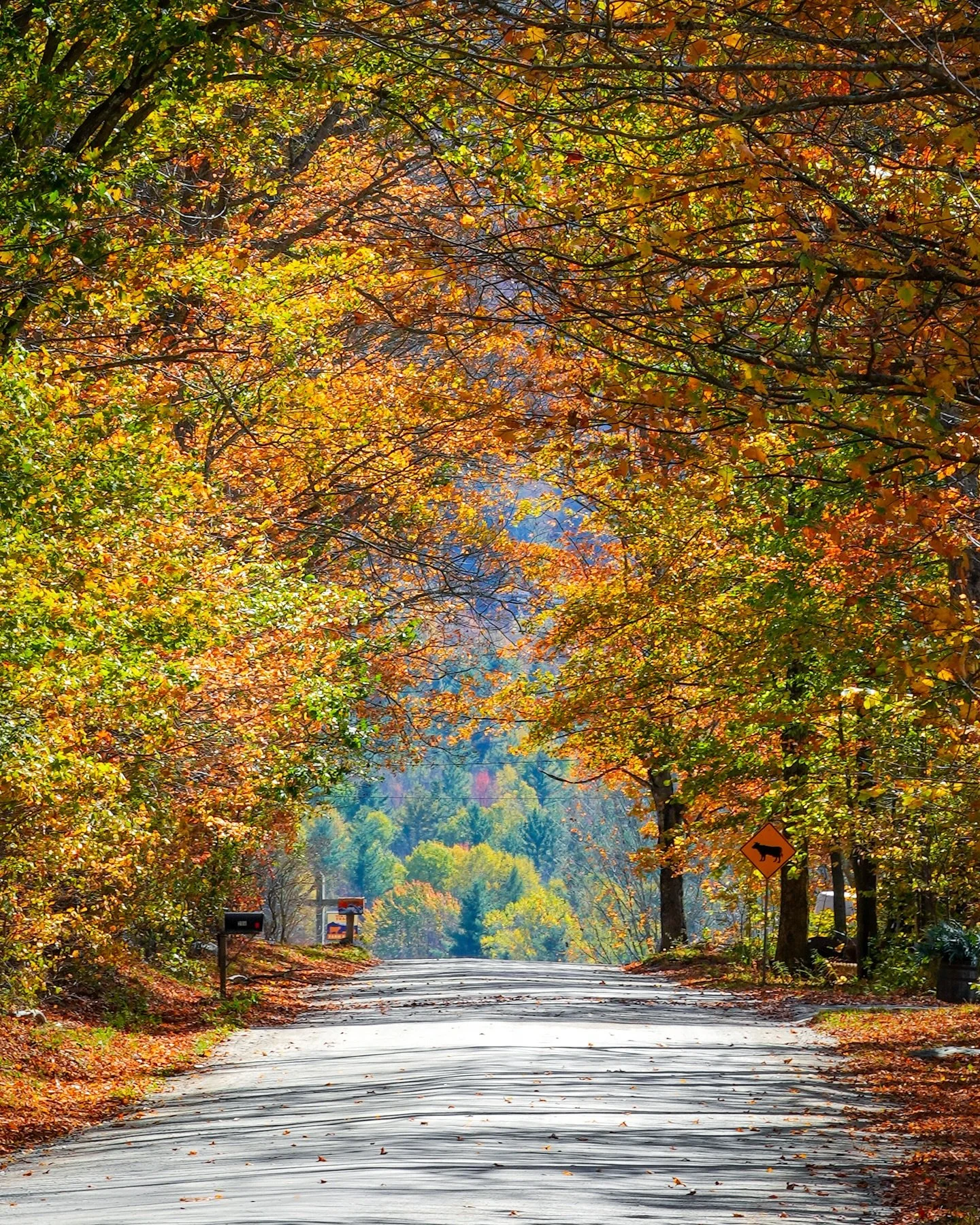 10/10 recommend exploring the back roads of Vermont this fall &mdash; and the Mad River Valley is the perfect location! 🍂

After spending a few days in Warren and Waitsfield this summer, I knew I had to come back for fall. This area is easily one of