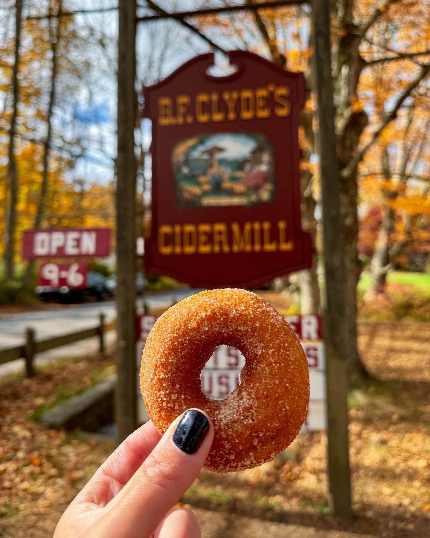 My review of this super popular cider mill! Is it worth a visit? 🍎

When I read that the oldest steam-powered cider mill in the United States was in Connecticut, I had to plan a visit!

You&rsquo;ve probably seen a post (or several thousand 😉) abou