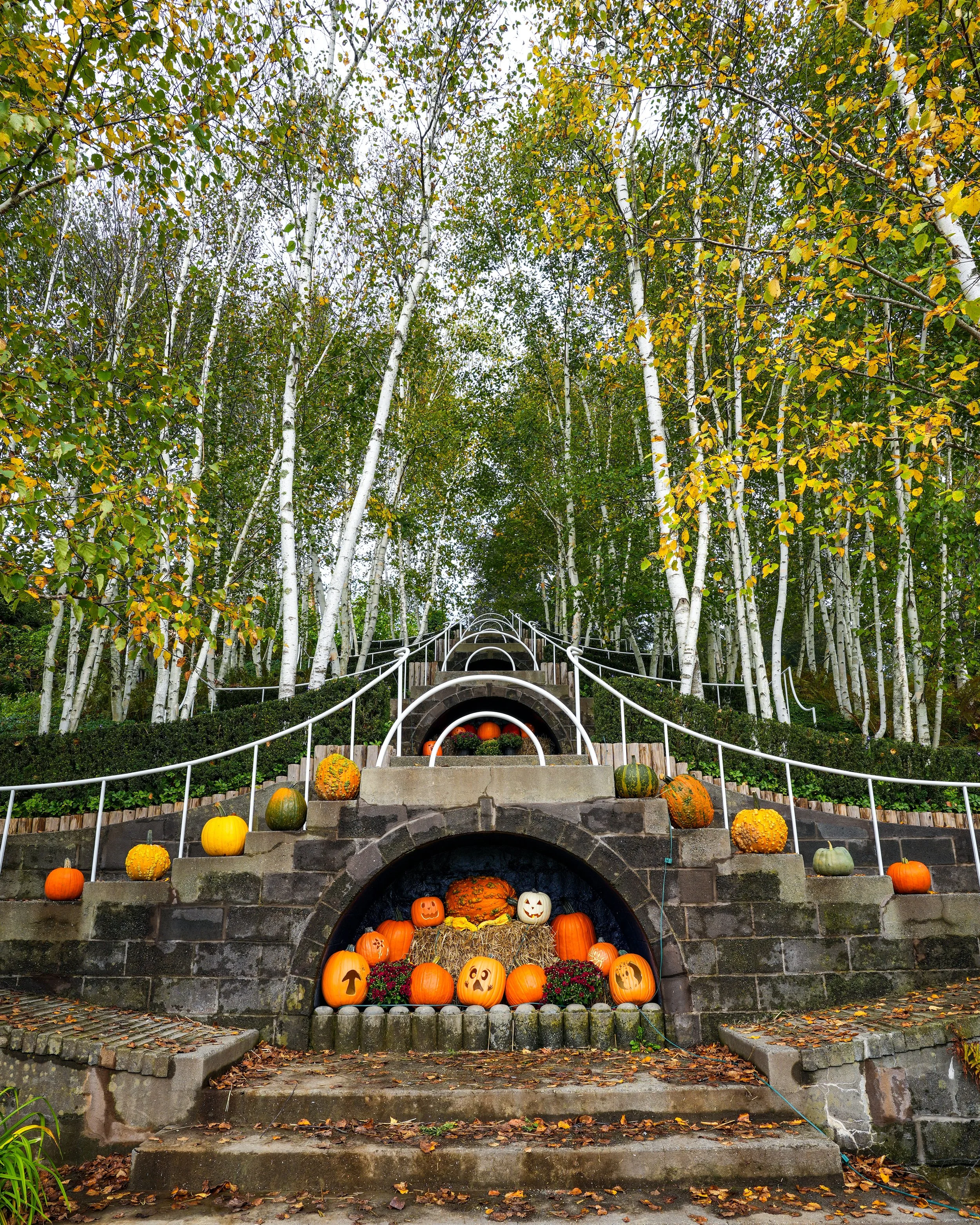 Where to Find 1,500 Carved Pumpkins in the Berkshires