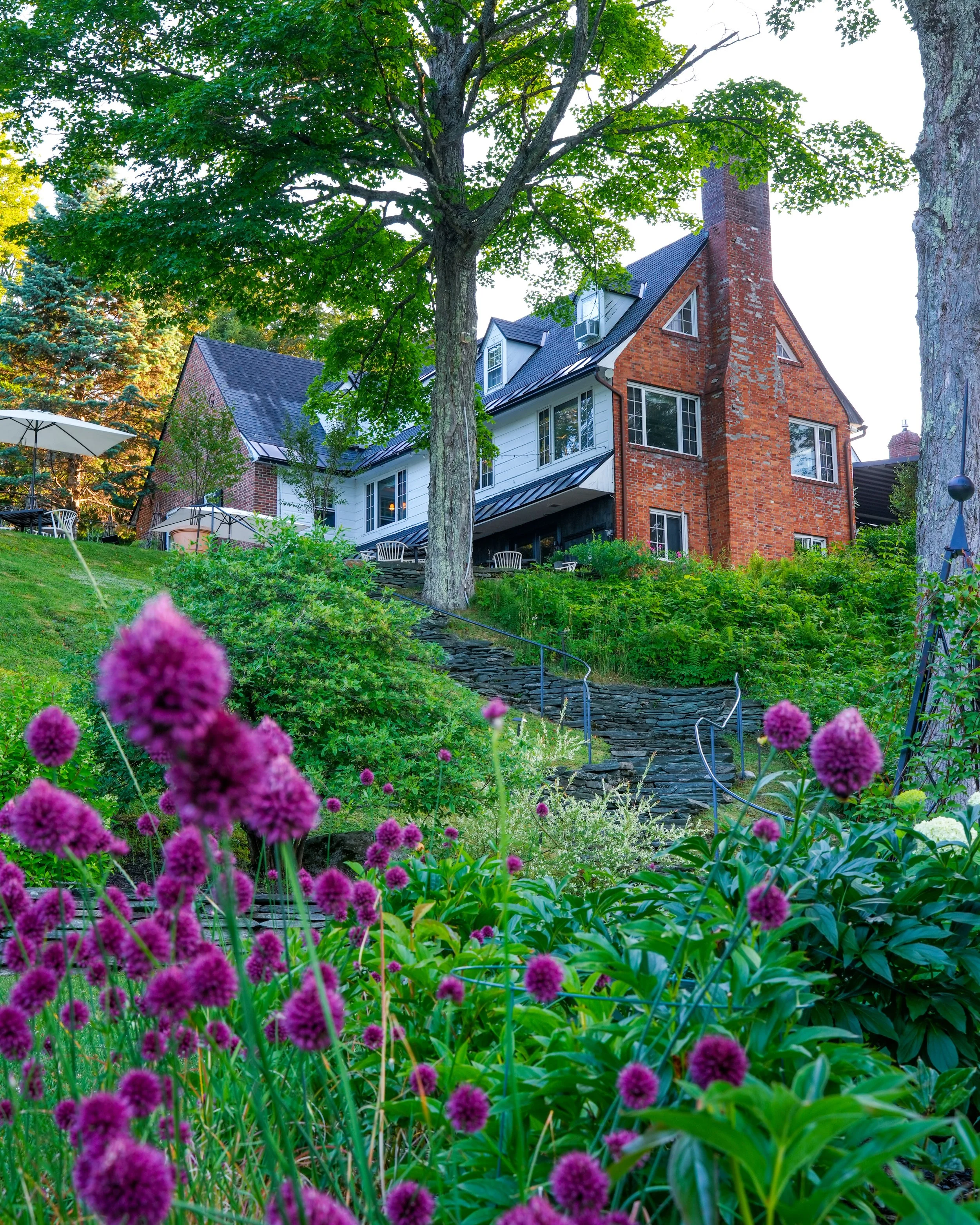 A backyard garden with lush green plants, purple flowers, a stone pathway, and a large house with brick and white siding, surrounded by trees and outdoor furniture.