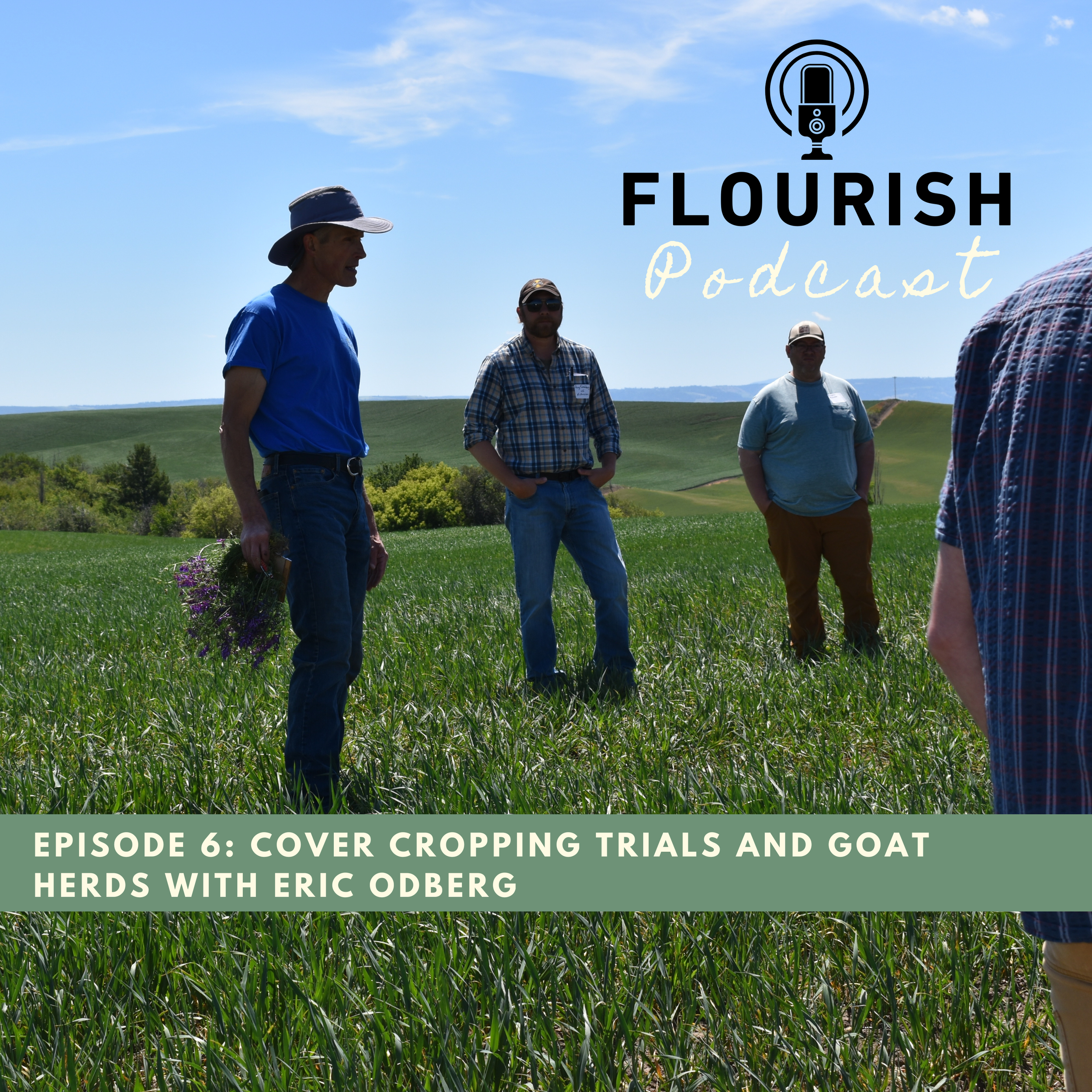 Episode 6: Cover Cropping Trials and Goat Herds with Eric Odberg