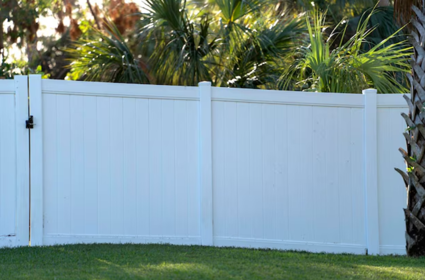 White vinyl privacy fence with vertical panels in a backyard with grass and palm trees.