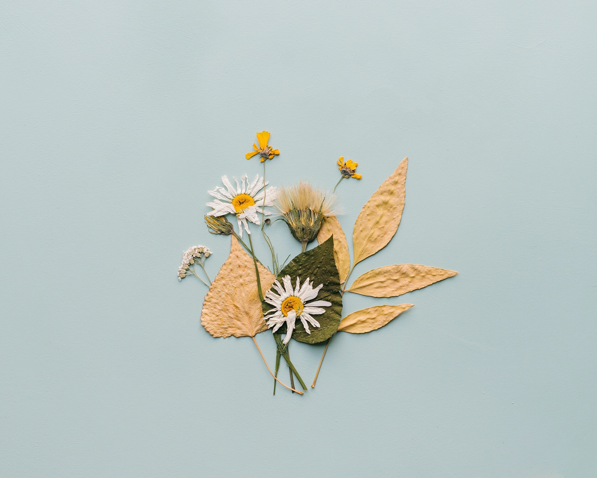 Floral preservation is a sweet reminder of your forever promise