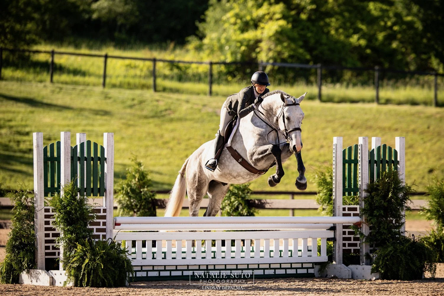 A rider jumping over an obstacle on a white horse during an equestrian event outdoors.