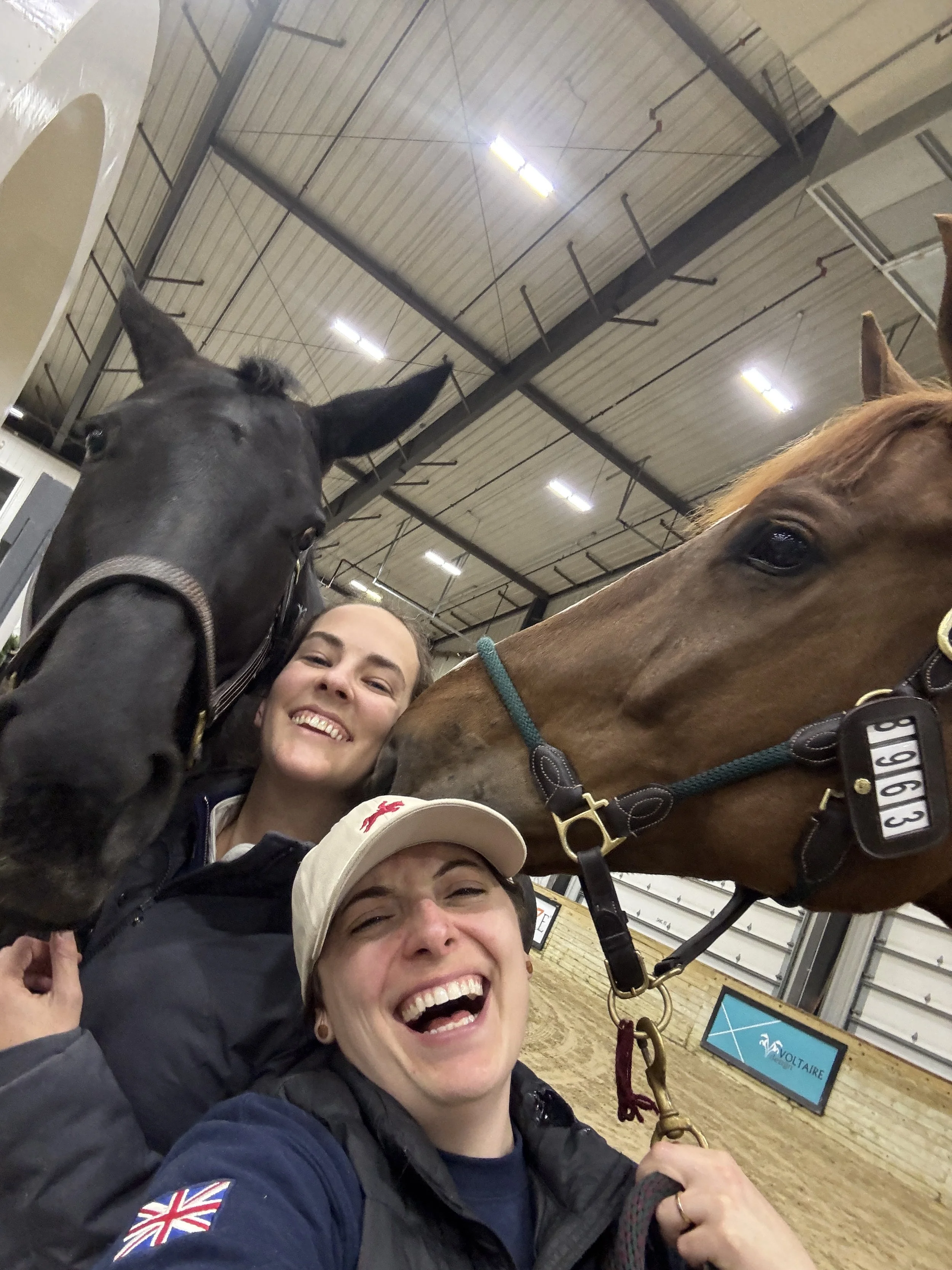 A woman smiling and taking a selfie with two horses in an indoor riding arena. The horses are close to her, one black and one brown, with the arena ceiling and a screen displaying 'VoltAire' in the background.