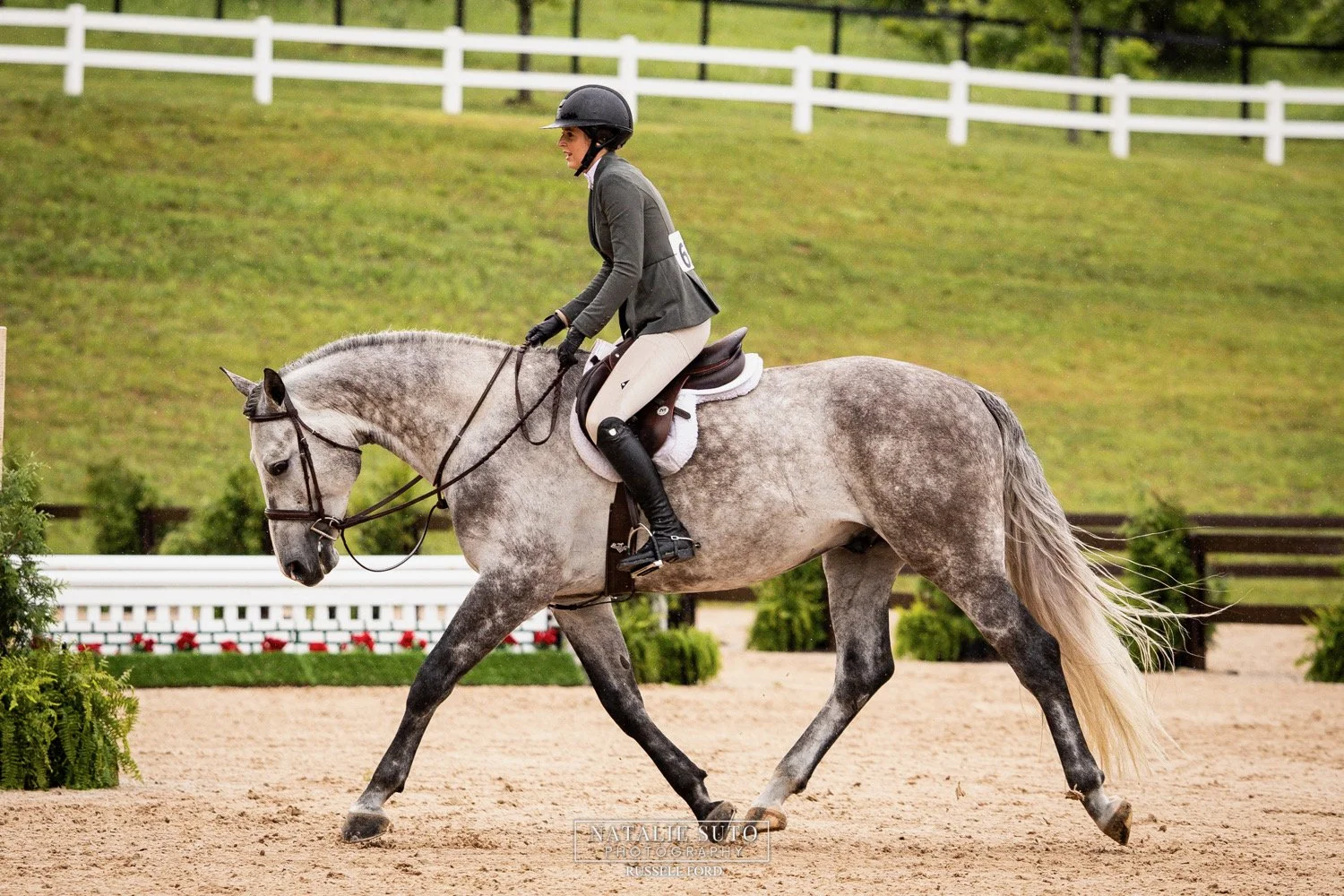 A woman in riding attire riding a gray horse on a sandy arena with a green grassy background and white fence