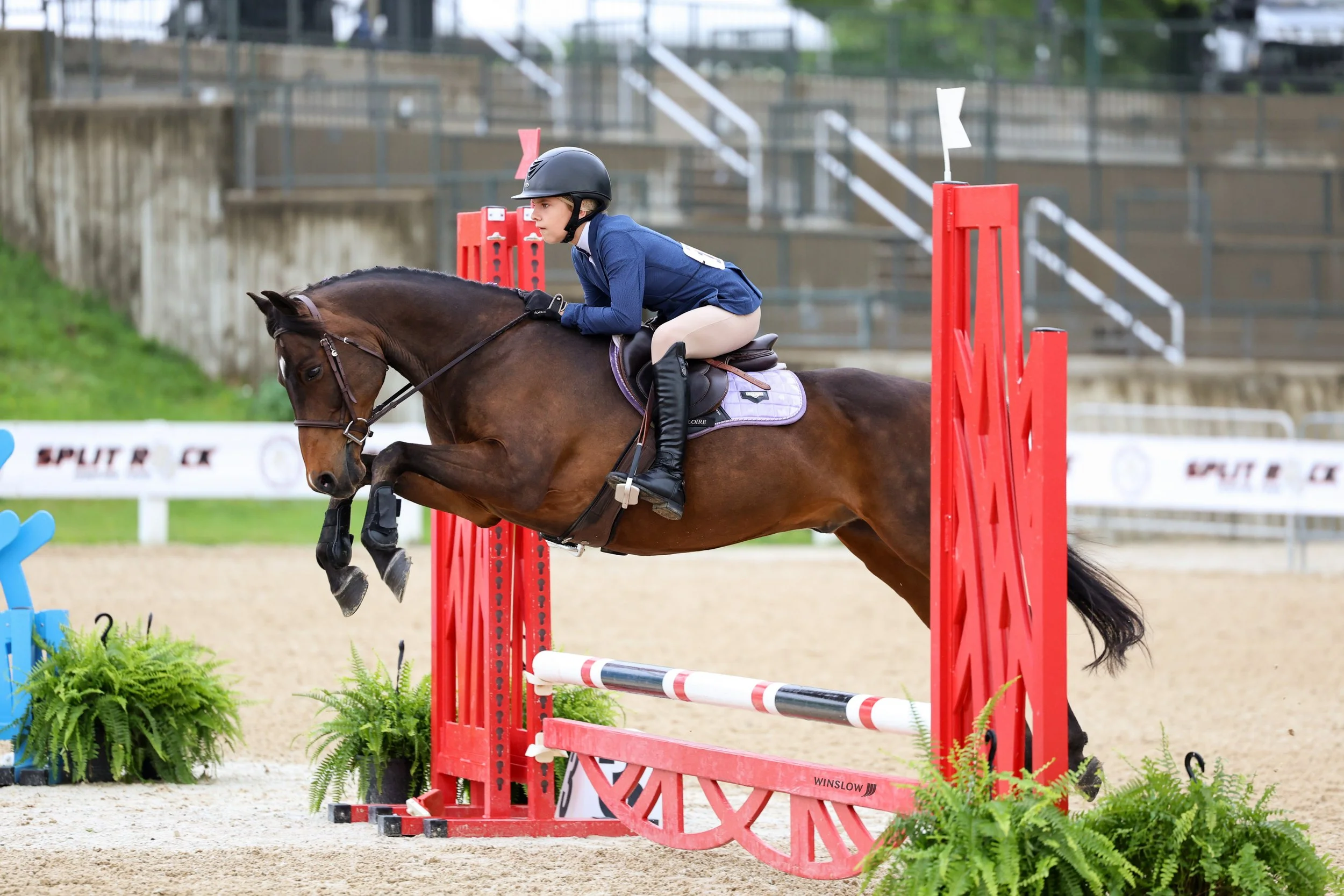 A young female equestrian rider wearing a helmet and blue riding jacket jumps over a red and white obstacle on a brown horse during a show jumping competition at an outdoor arena.