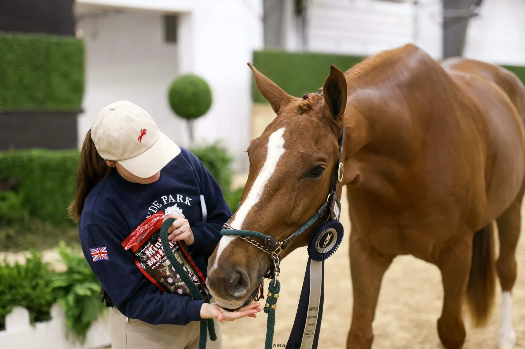 A person wearing a white cap and navy sweatshirt petting a brown horse in an indoor stable area.