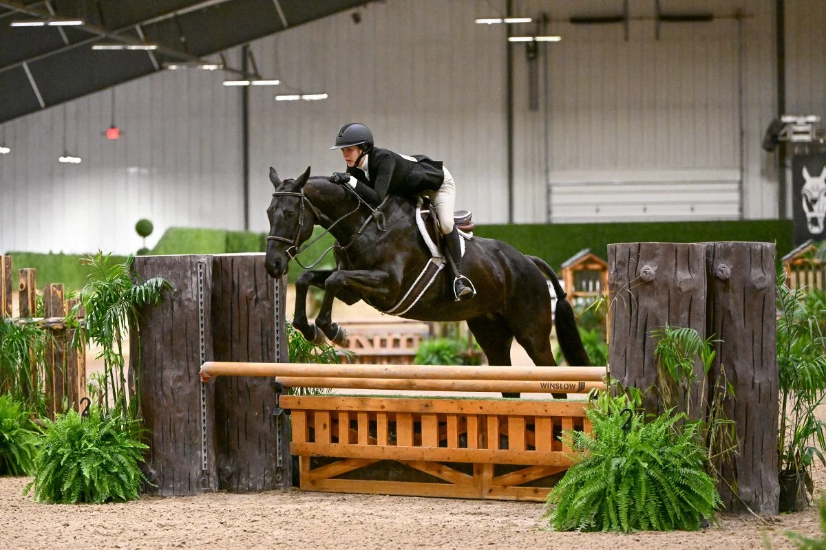 A person in riding gear, including a helmet, riding a dark horse jumps over a wooden obstacle in an indoor equestrian arena.