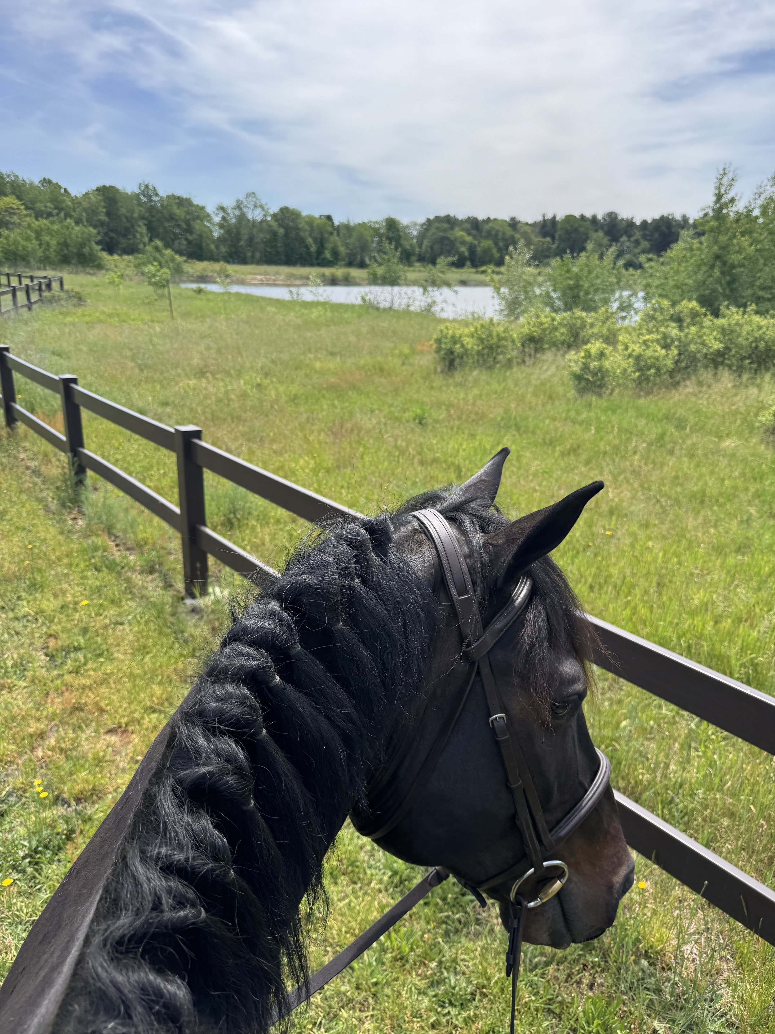 View from a horse riding ahead on a trail, with a black horse wearing a bridle and saddle, looking over a green landscape with a pond, trees, a wooden fence, and a partly cloudy sky.