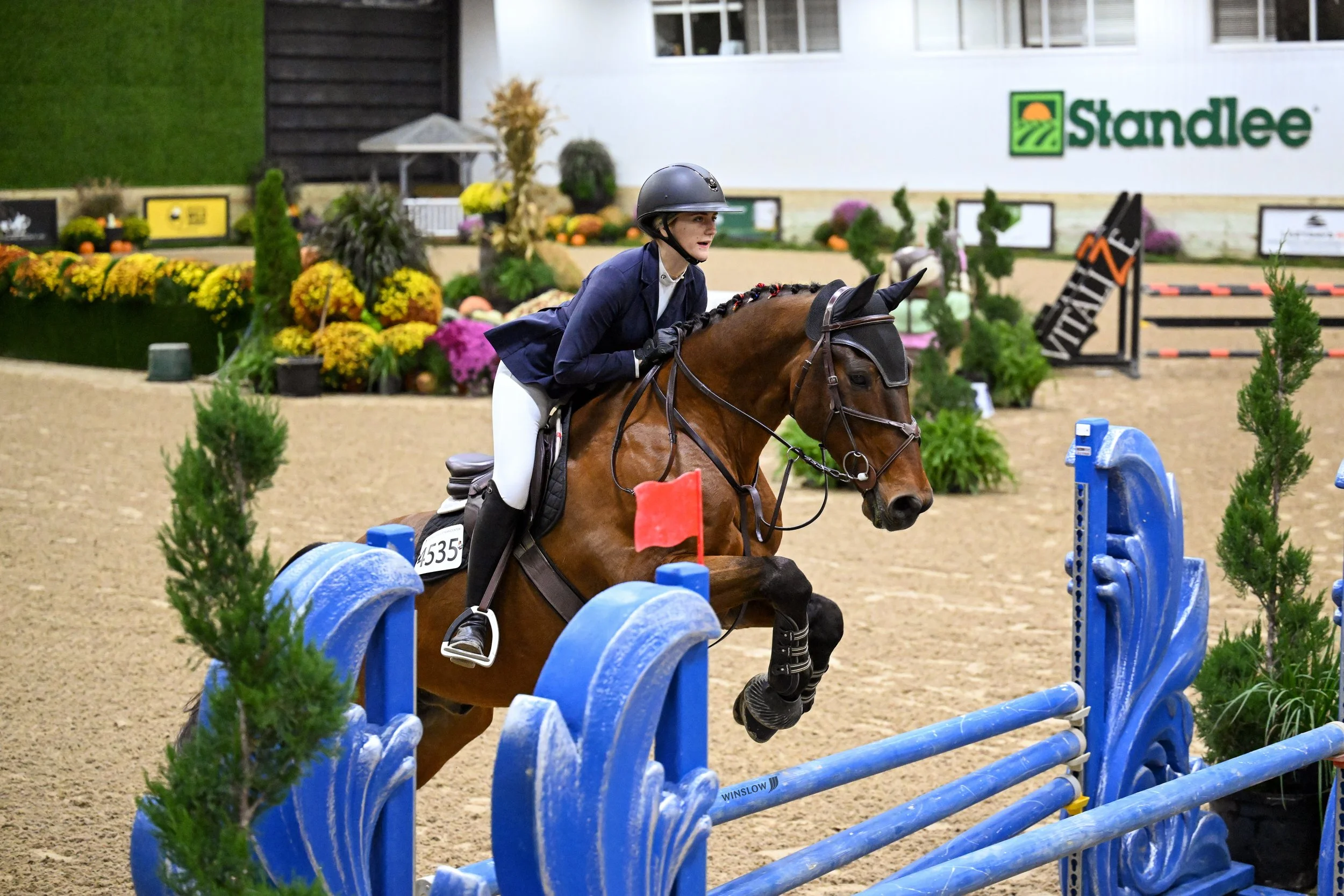 A female equestrian competitor wearing a helmet and riding attire navigating a show jumping course on a brown horse, with decorated show jump obstacles and potted plants in an indoor arena.