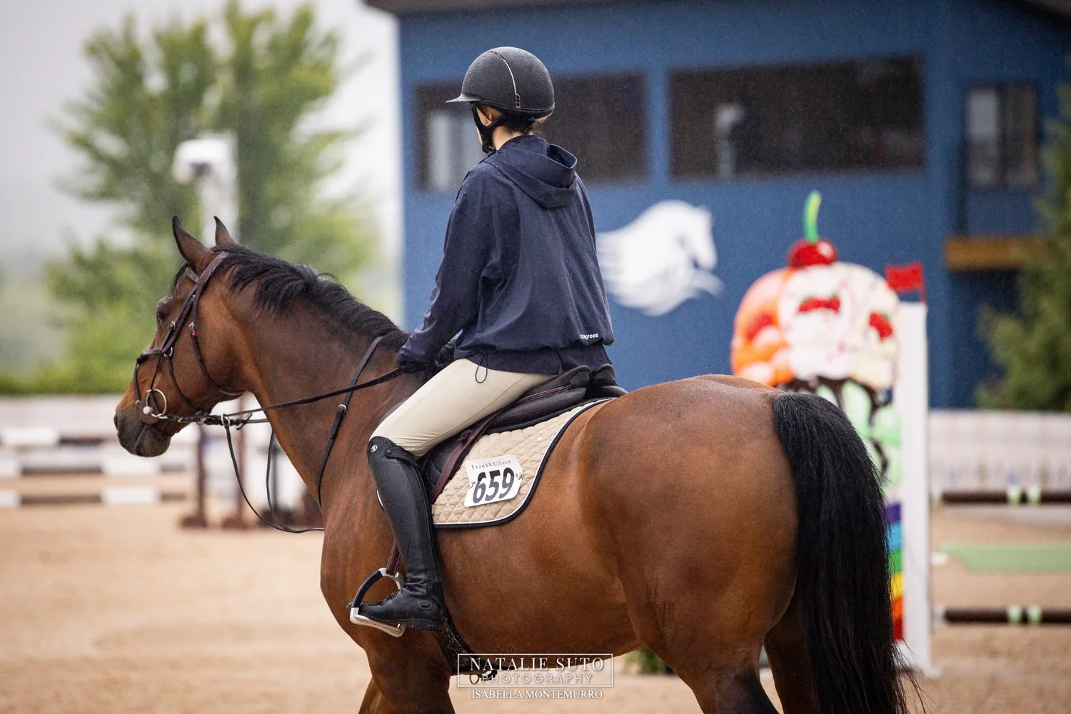 A rider on a brown horse in an indoor equestrian arena, with show jumping obstacles in the background and a blue building with a horse logo.