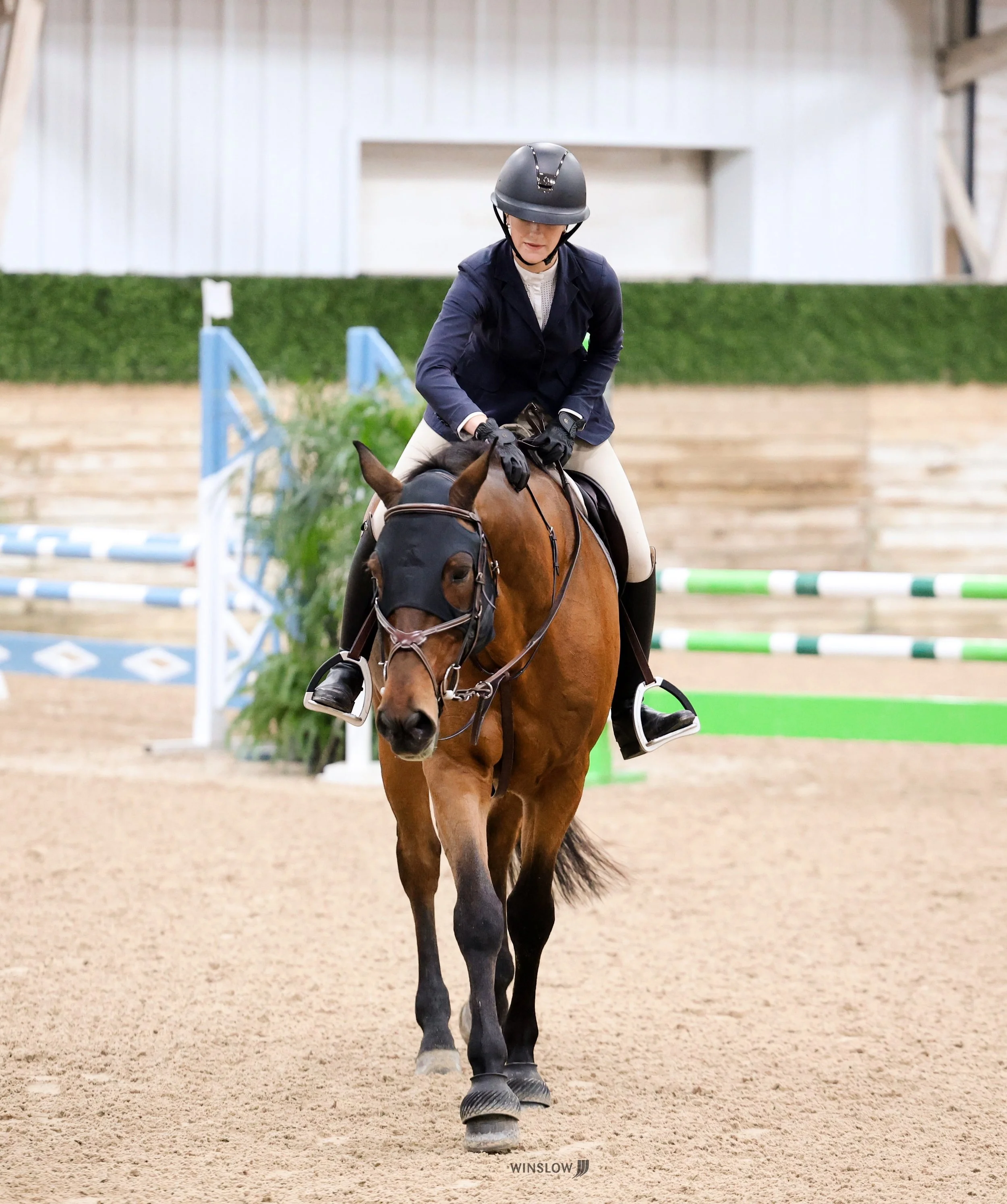 A person riding a brown horse on an indoor riding arena, wearing a black helmet, navy blazer, white shirt, beige riding pants, and black riding boots, with colorful jumps set up in the background.