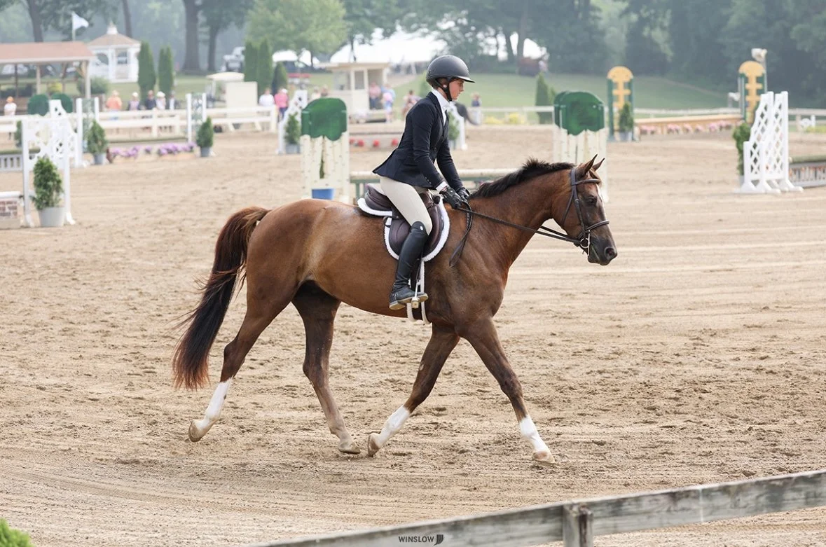 A rider in formal riding attire and helmet riding a brown horse in an equestrian arena.