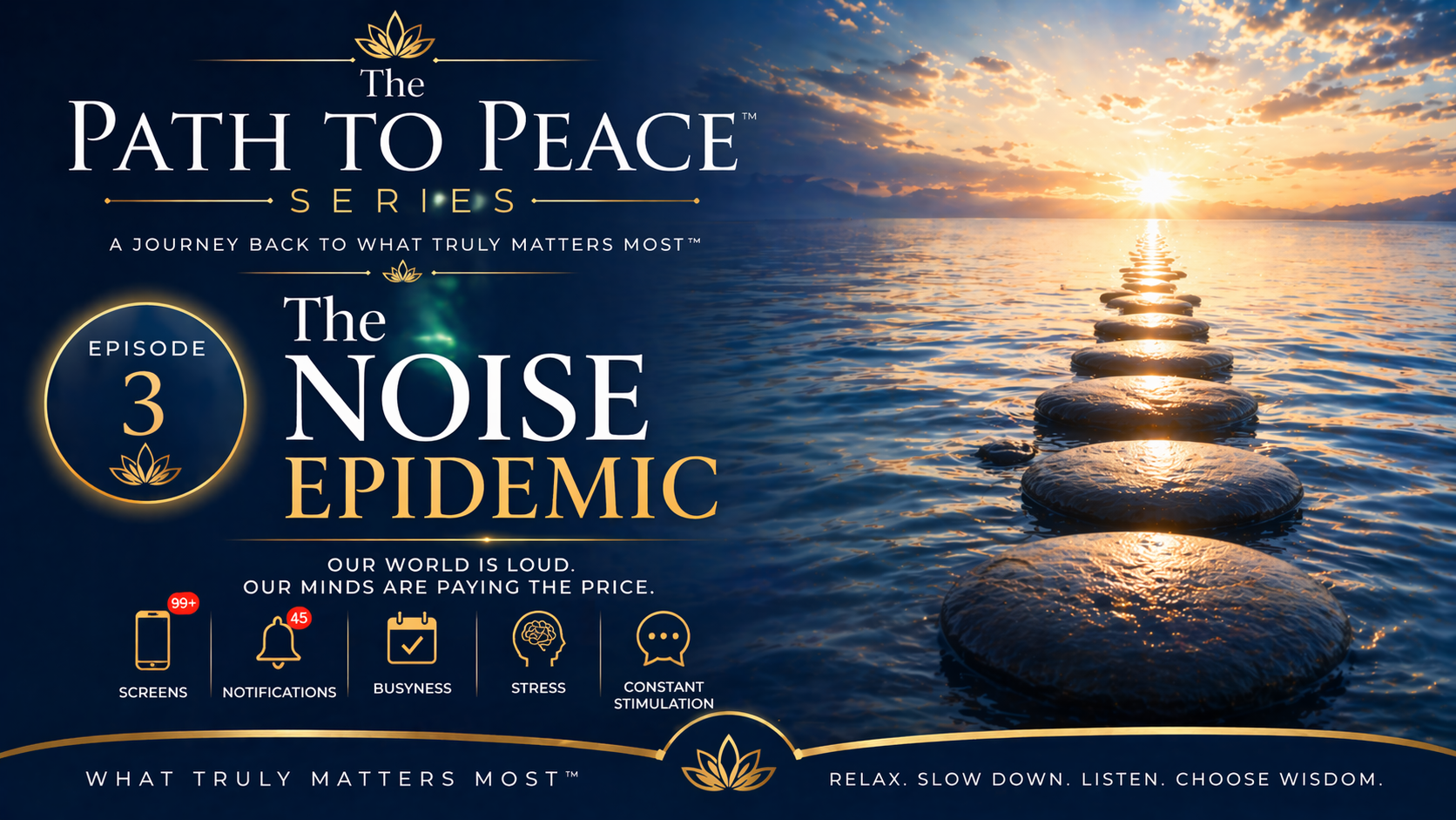 The Noise Epidemic - The Path to Peace™ Series: WTMM™
