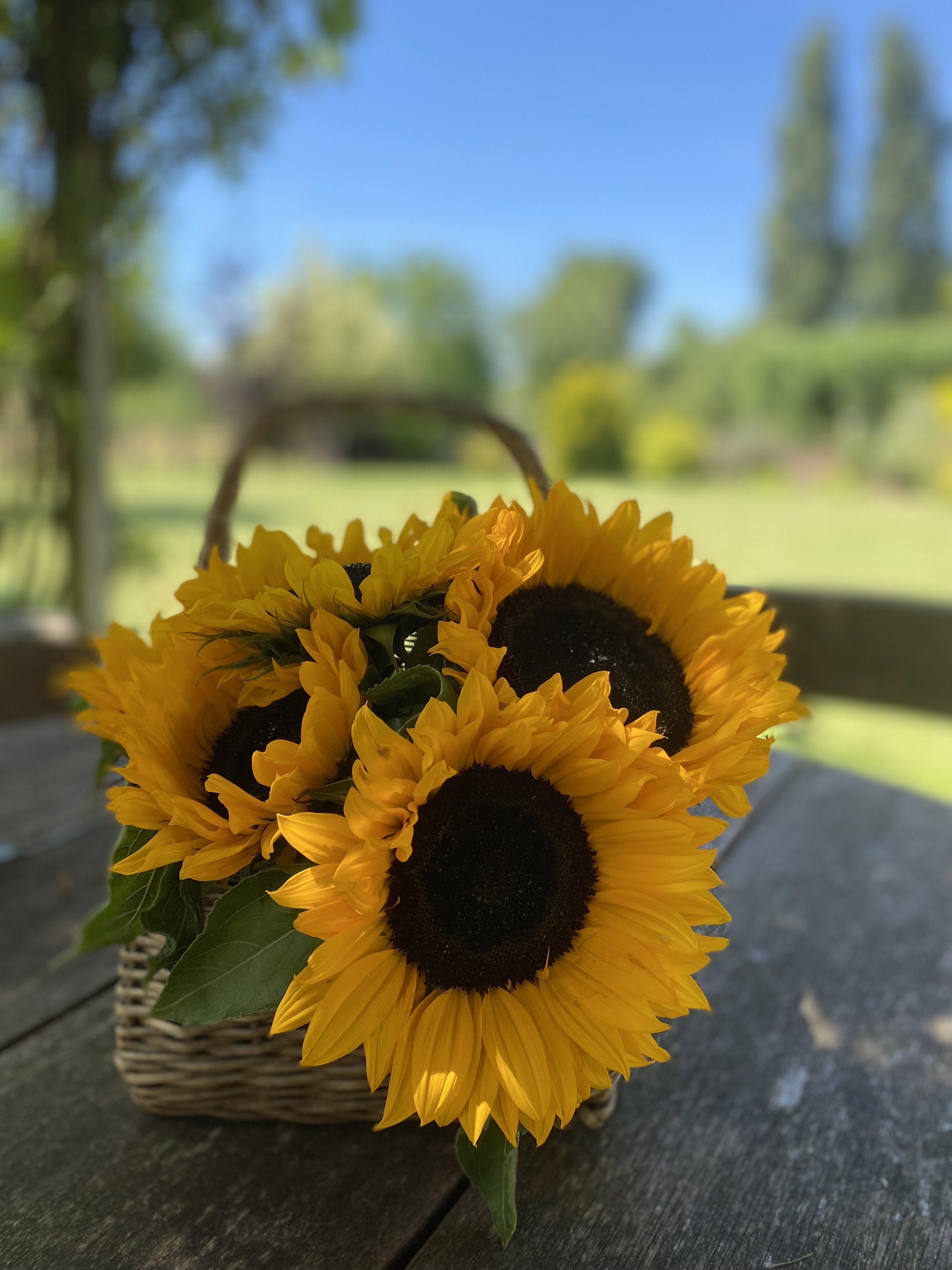 IMG_5057.jpeg