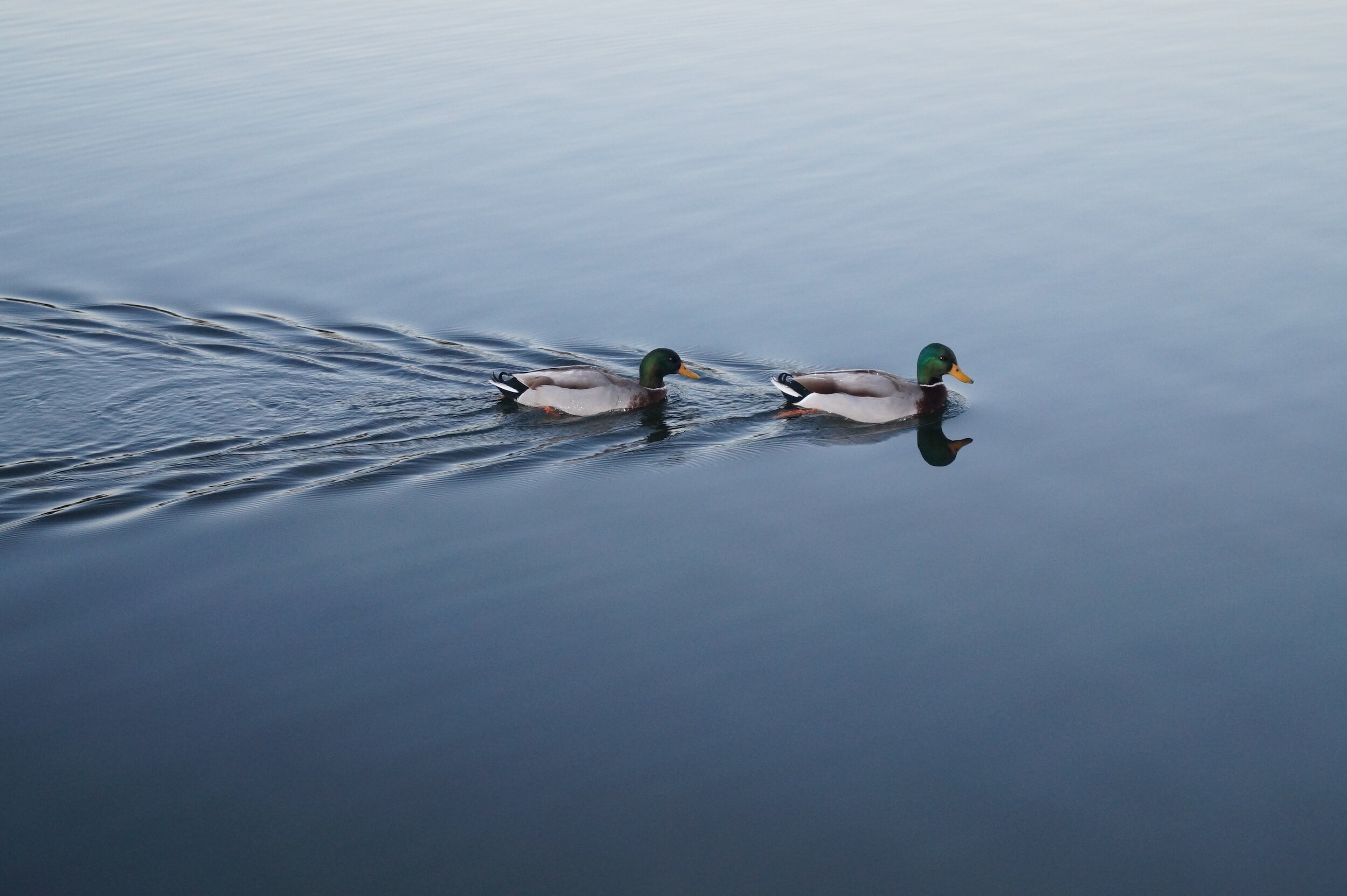 Explore the Outdoors in Madison and Perry