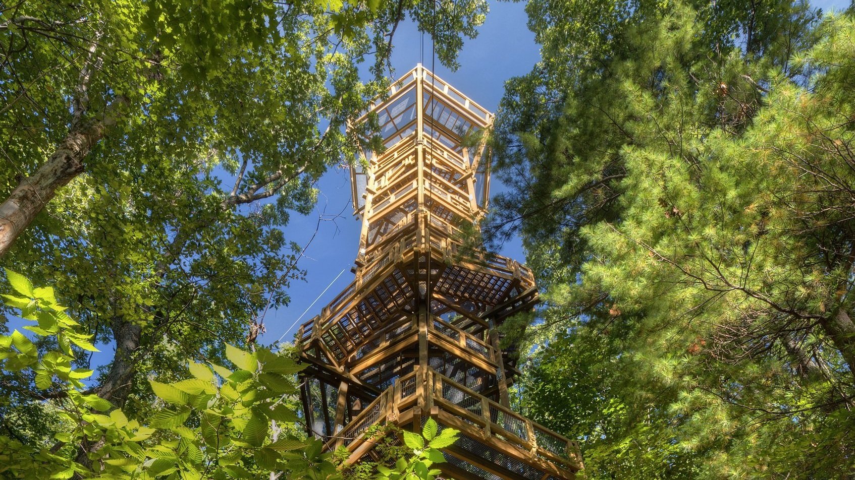 Spend Summer at Holden Arboretum with Pollinator Express, Concerts in the Forest, Firefly Hikes and More