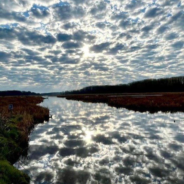 Beautiful capture by @warsinskey at our gorgeous Mentor Marsh State Nature Preserve earlier this week.

📸Tim Warsinskey
#mentorohio #mentormarsh #naturephotography #sky #skylovers #tourlakecountyoh #tourlakecounty #ohio #ohiotheheartofitall