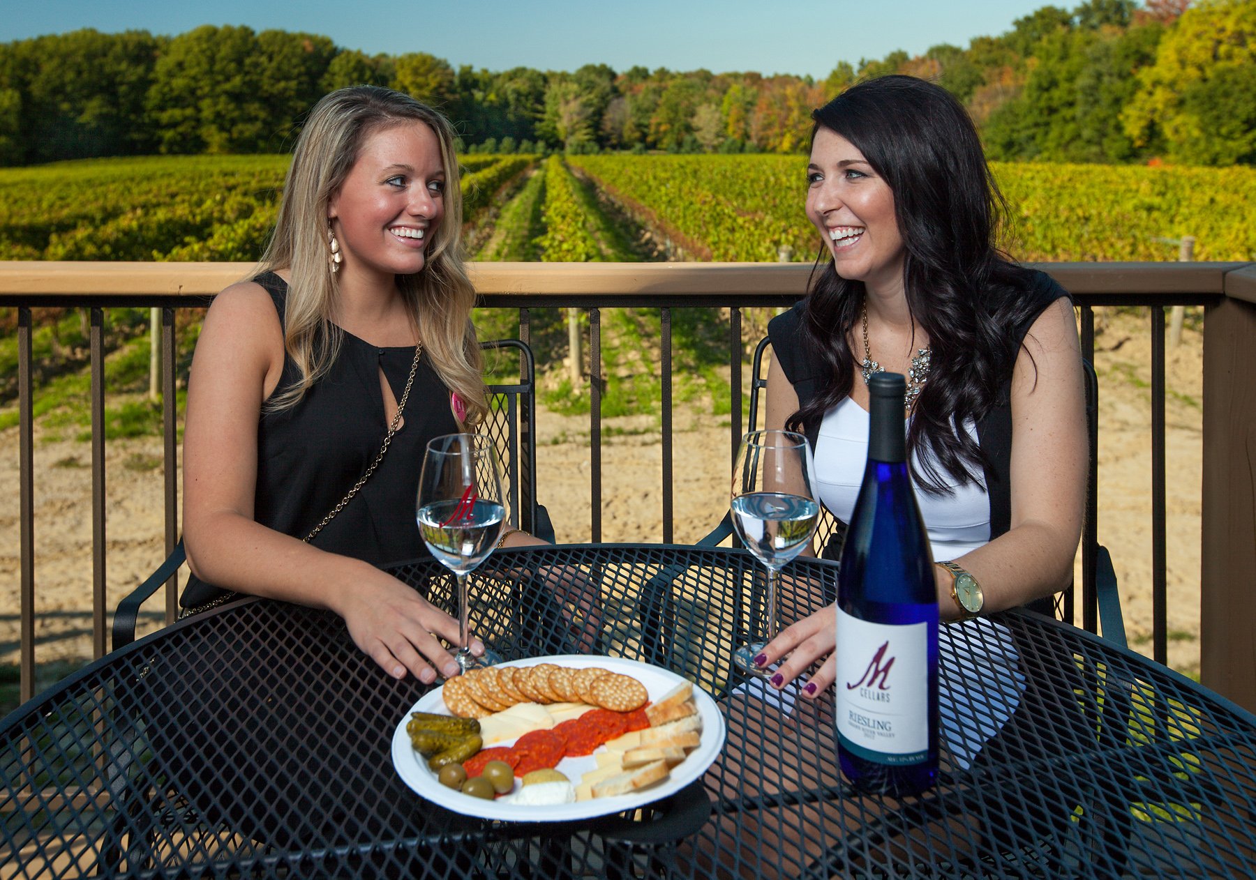 12 M Cellars Winery and Vineyard.jpg