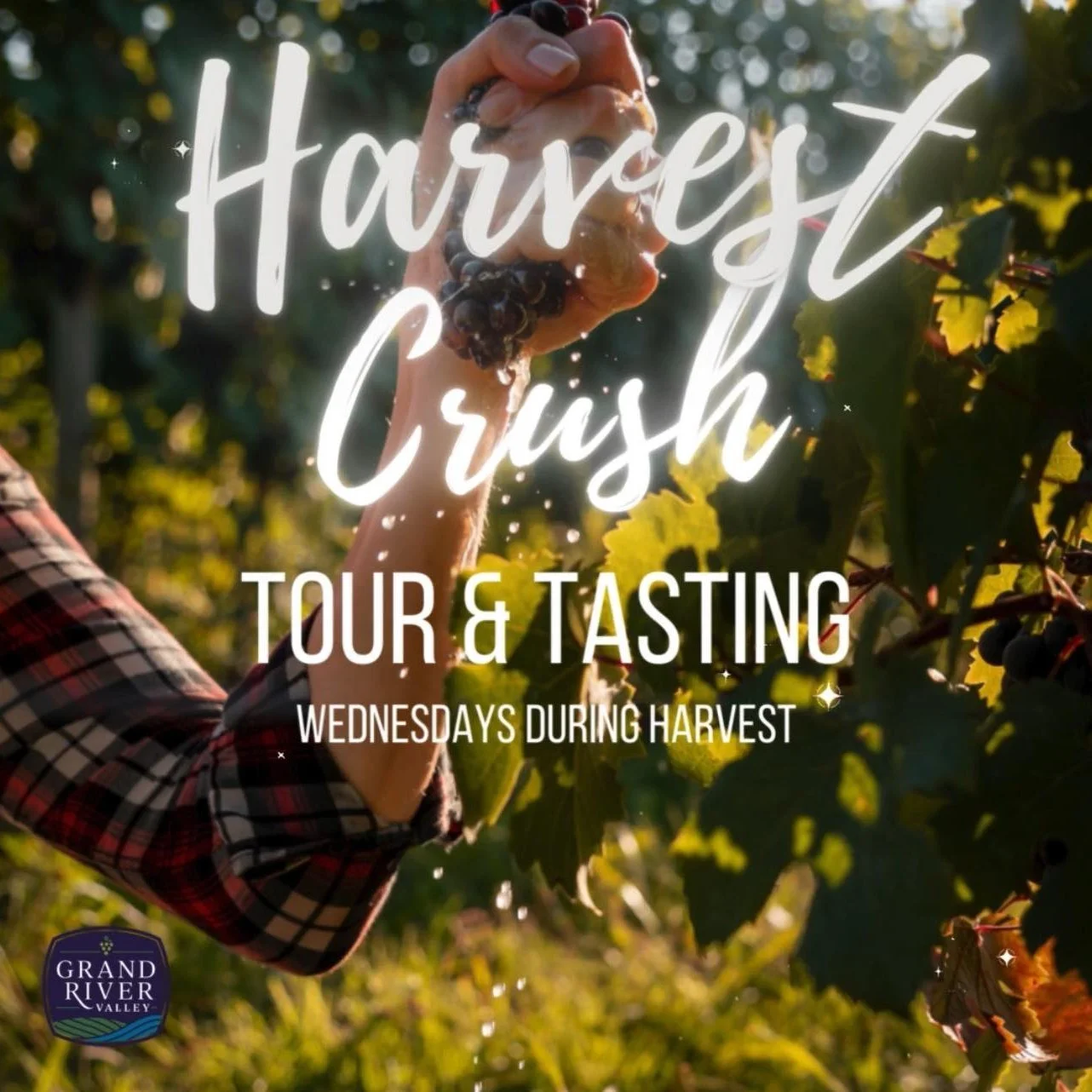 🍇Harvest Crush Wednesdays in the Grand River Valley Winery Region