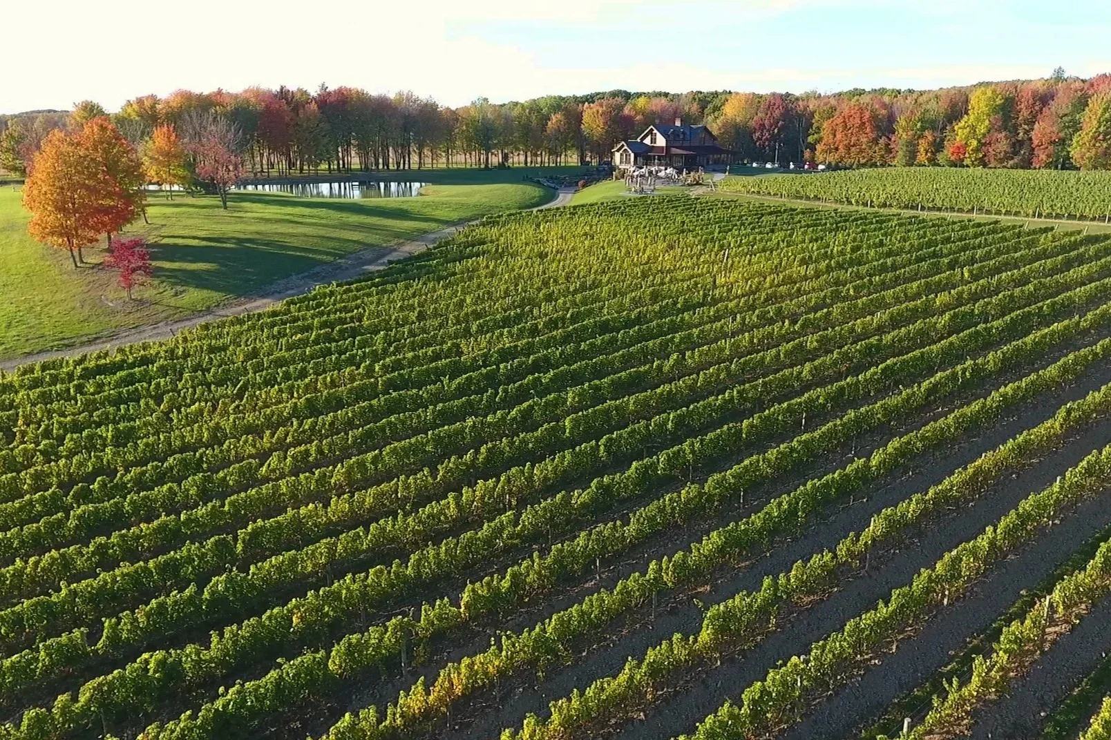 Lake County’s Grand River Valley Fall Foliage Self-Driving Tour