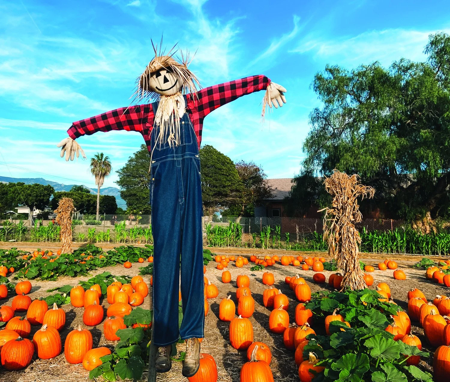 Fall Fun Events Around Northeast Ohio