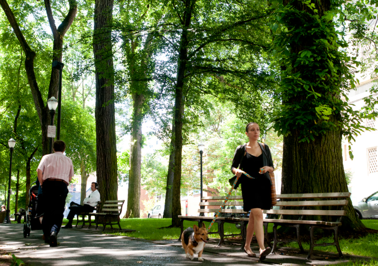 Concord Township launches comprehensive plan to help community