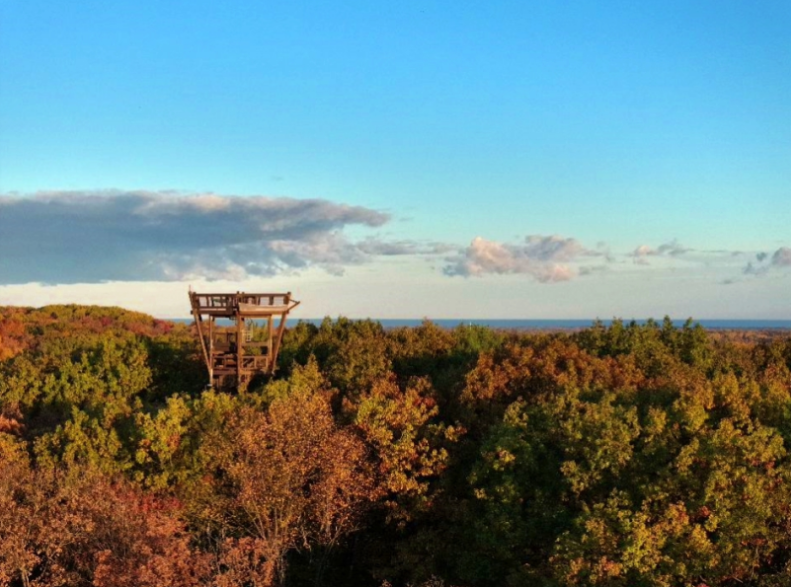 Holden Arboretum in Kirtland beckons with autumnal beauty