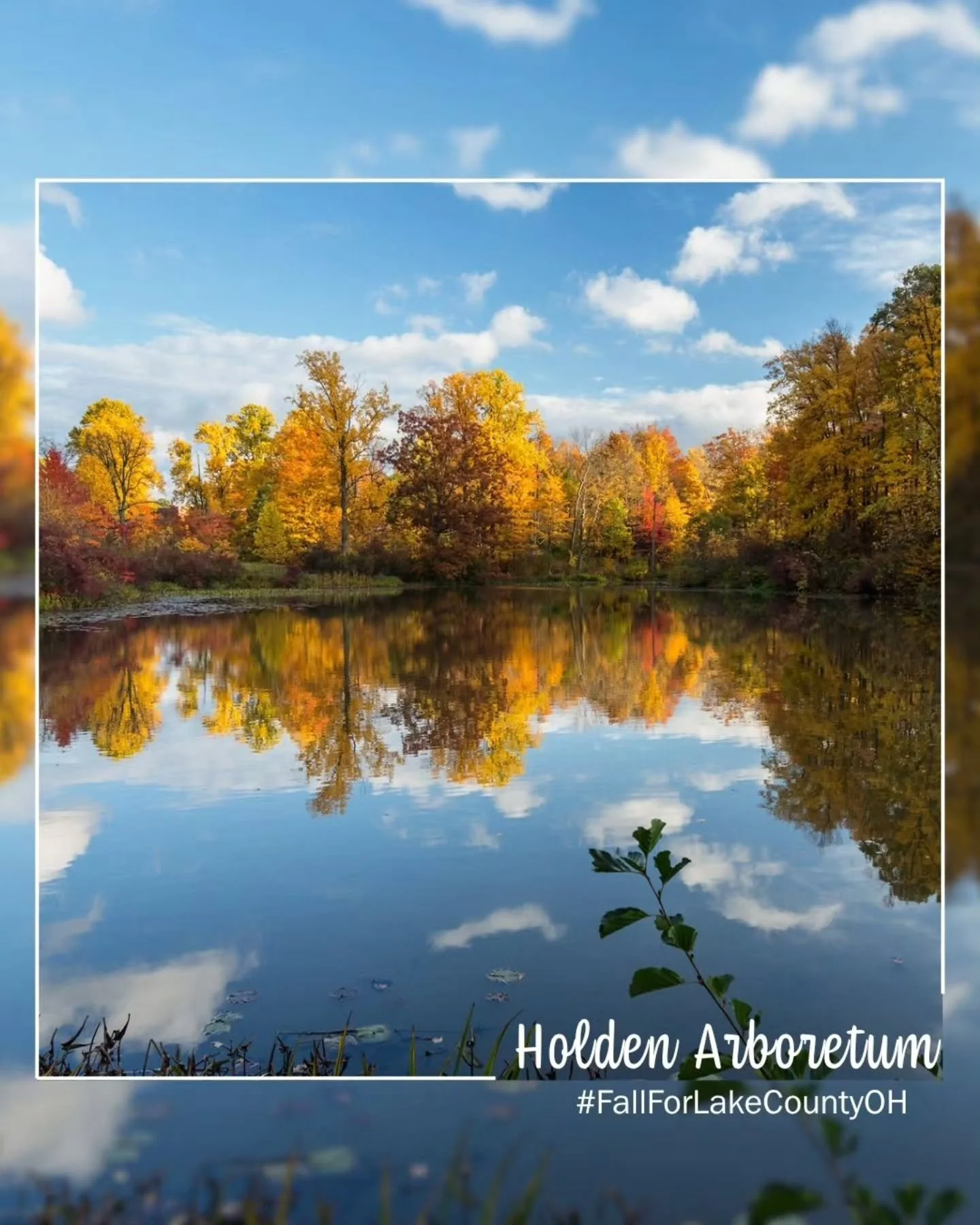 🥾🍂🧡Travel along with us to our next Trail Tours! We are heading out to The Holden Arboretum, the Country's largest arboretum! 

The Holden Arboretum is a living museum of exquisite collections of plants and trees on 3,500 acres with miles of trail
