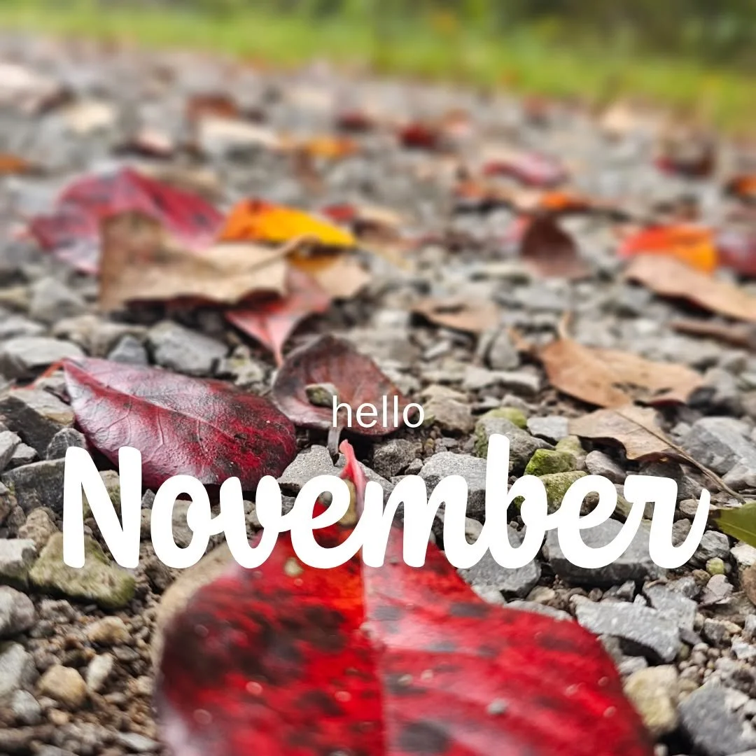 &ldquo;Leaf&rdquo; your worries behind&mdash;November is here🍁 

#tourlakecountyoh