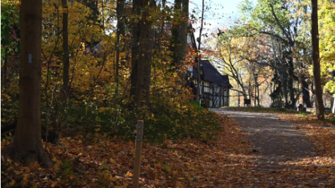 Buckeye Trail Reroute Highlights Some of Mentor’s Favorite Spots