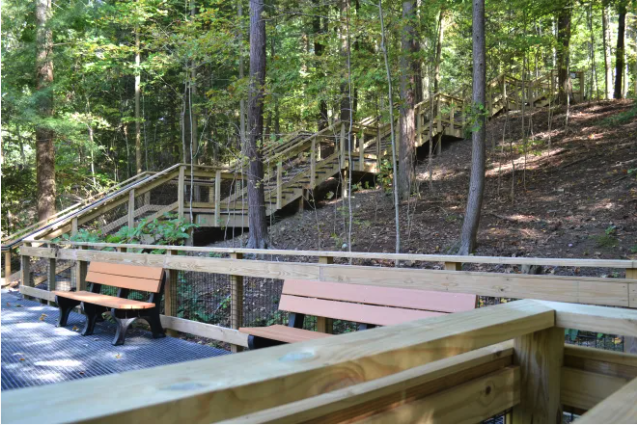 Holden Arboretum to focus on visitors, science and community in 2026