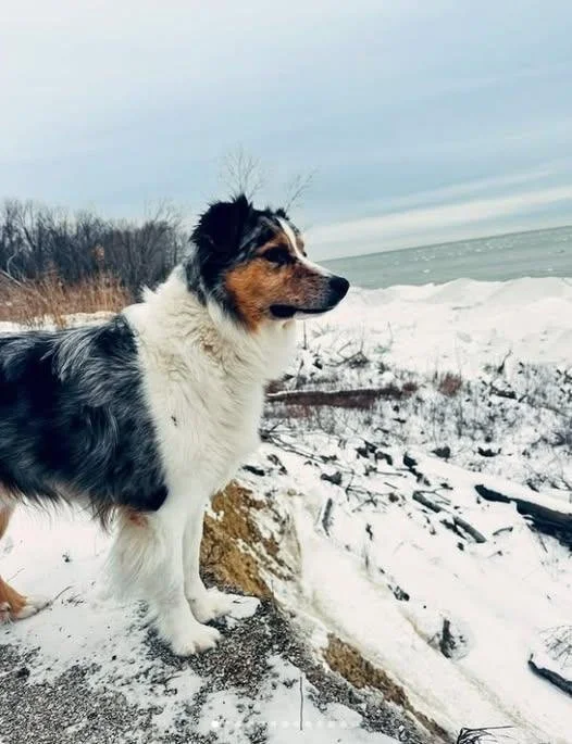 🥶❄️More S N O W is coming to Lake County! Try something winter-ful this weekend!
🏂Go Sledding at Riverview Park - Lake Metroparks 
⛸Enjoy Ice Skating at the Mentor Ice Arena 
💧Visit an ICY Waterfall 
🎿Try Snowshoeing at The Holden Arboretum
🍷Sta