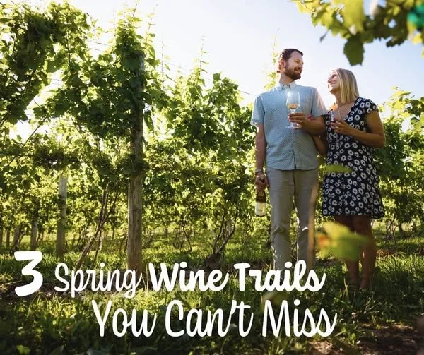 🌸🍷We are excited to welcome spring to the #grandrivervalley! Check out these 3 Spring Wine Trails You Can't Miss! 
✨Spring Sparkling Bubbly Trail✨ - Only weekends in April
(12PM-5PM each day)
Four Grand River Valley wineries have teamed up with to 