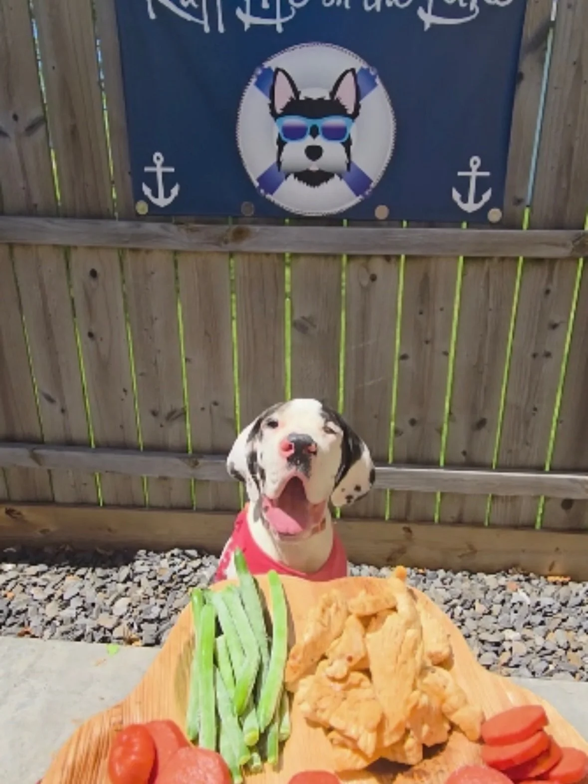 🦴🦴We&rsquo;re not sure who is more excited about Ruff Life On The Lake - Restaurant and Wine &amp; Beer Bar Seasonal opening this Friday, Us or Maizy??🦴🦴

📅Friday, April 17th 
⏰11am-8 pm
🎉New menu + familiar fan- favorites
🐾Maizy&rsquo;s top p