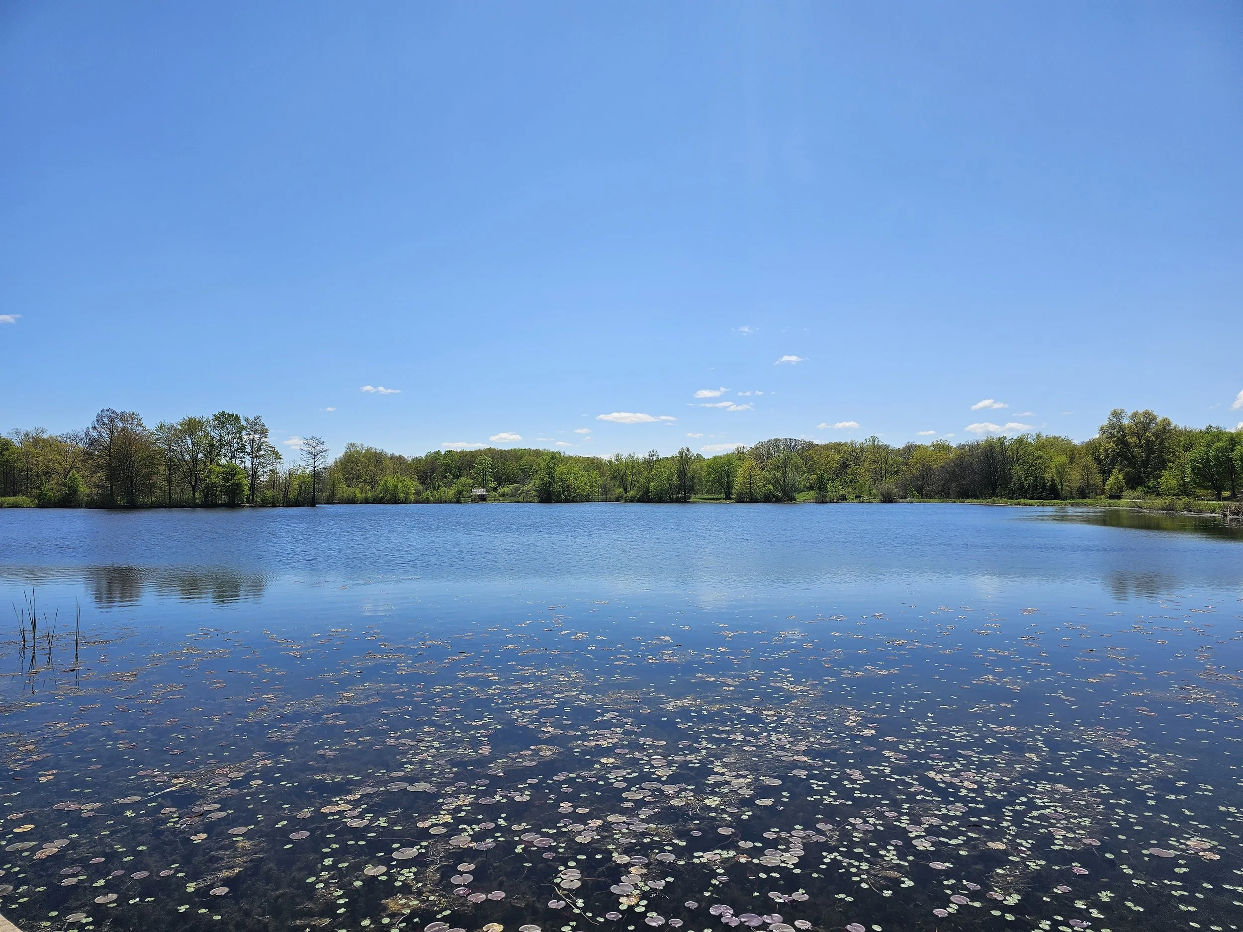 Holden Arboretum - Theresa W.