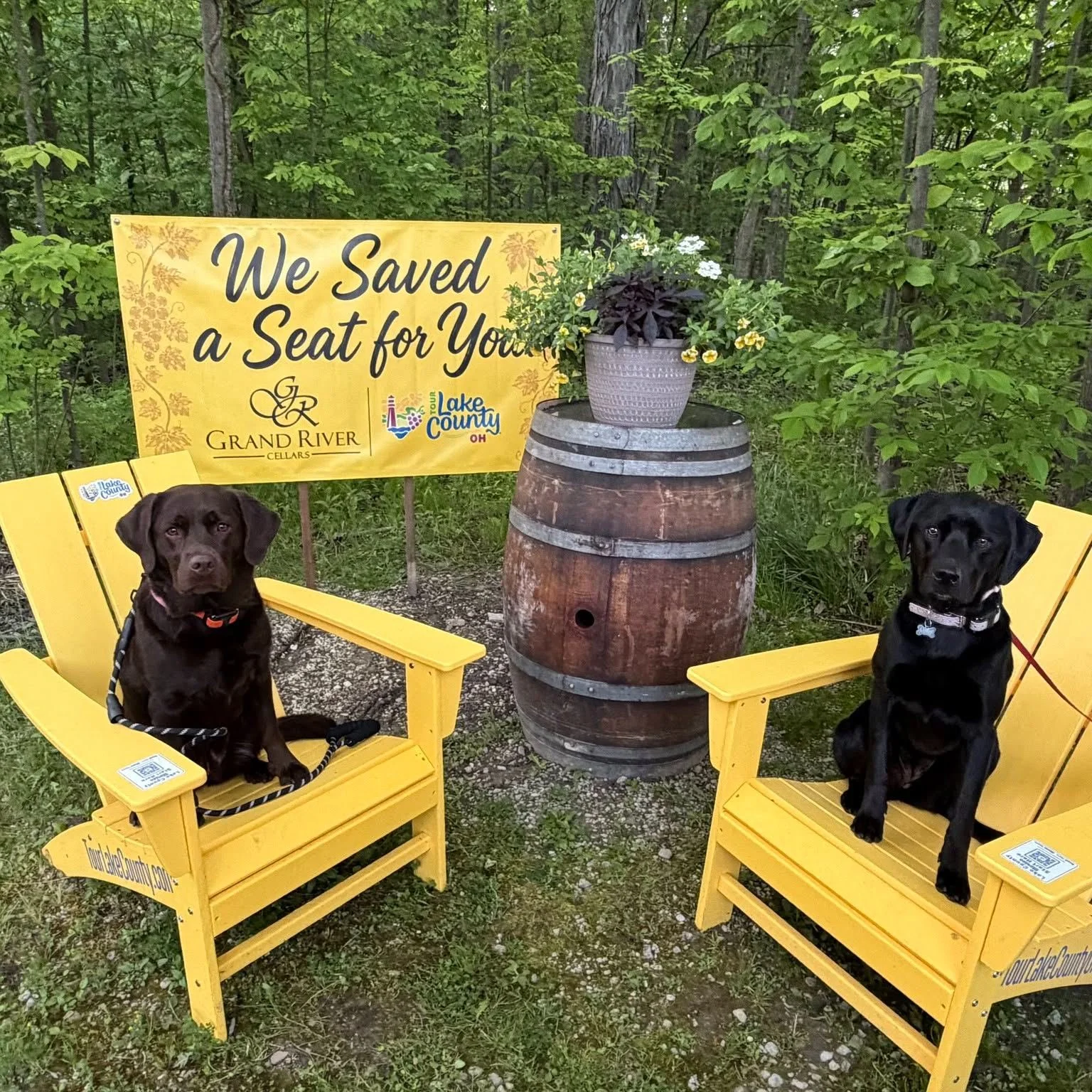 🐾🍷 Woof, Wag &amp; Wine Trail is Back! 🍷🐾
Grab your pup and enjoy a month-long wine trail at 3️⃣Grand River Valley wineries featuring tastings, treats for you and your dog, and support for local animal rescues. 🐶❤️
📍Debonne Vineyards 📍Grand Ri