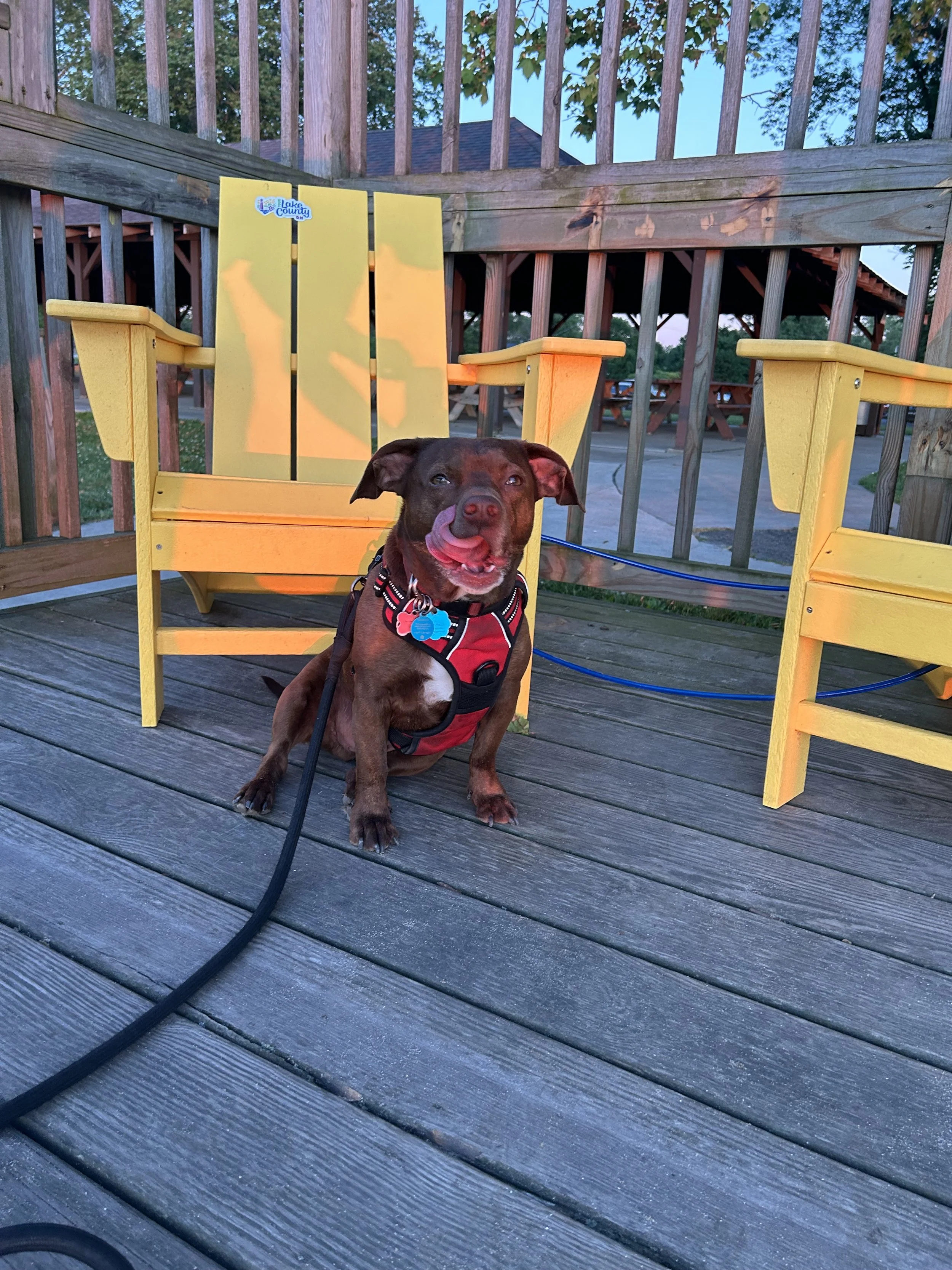Madison Township Park - Connie Dalke