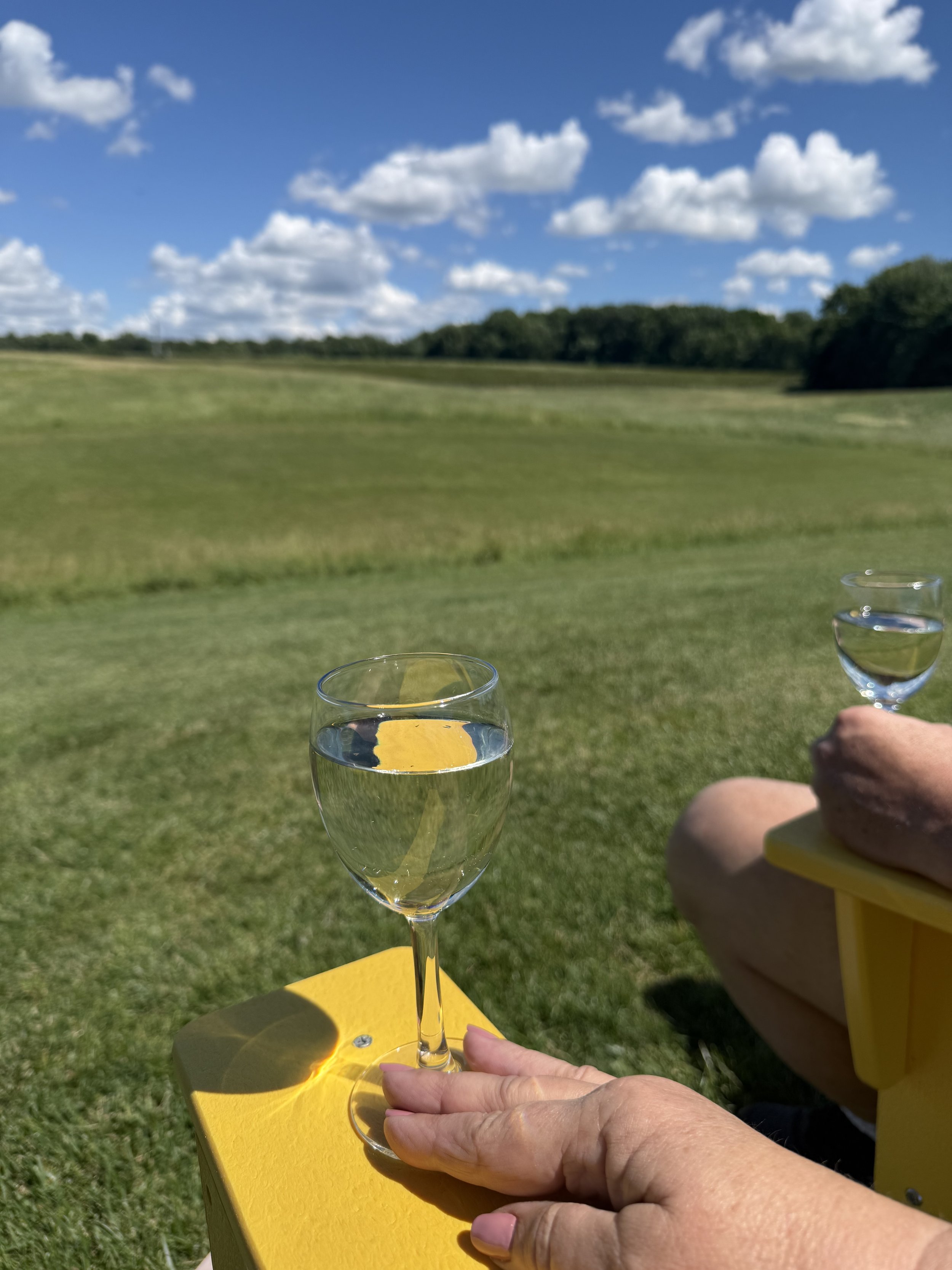 Debonne Vineyards