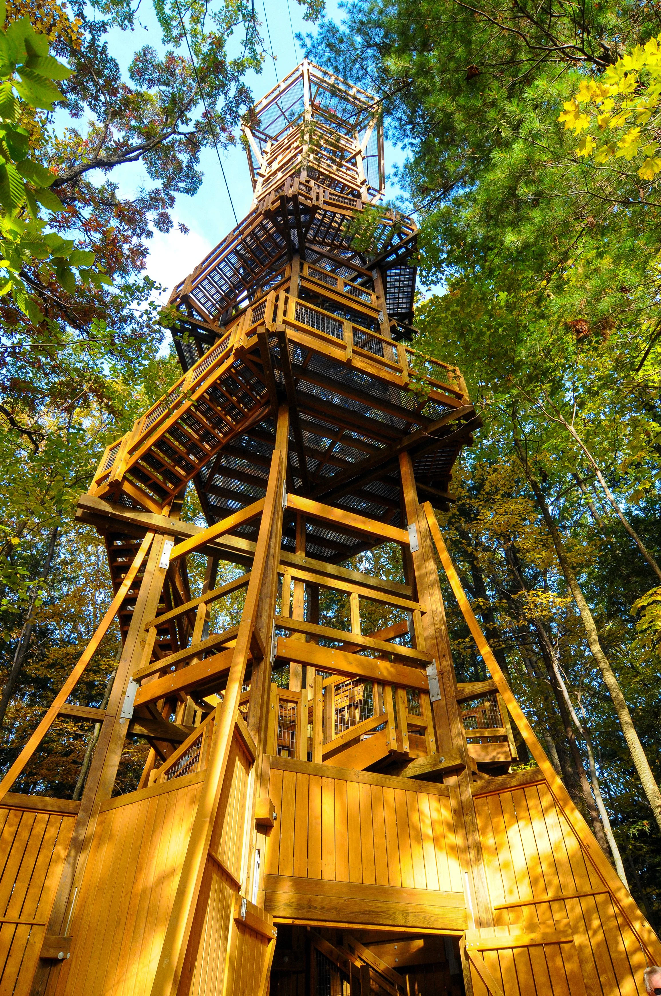 Holden Arboretum offering tram tours, summer events in Kirtland