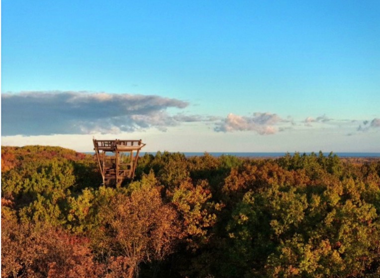 Holden Arboretum to fund “visitor experience” projects with capital funding