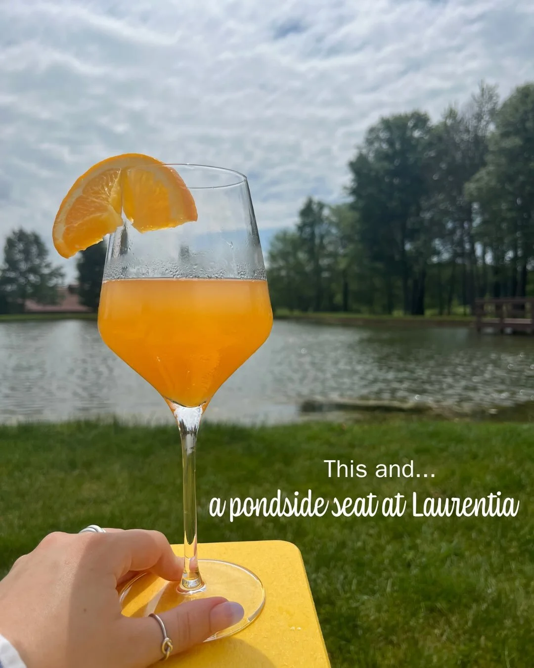 This and&hellip; a trip to the Grand River Valley 🍷 ❤️🍇

Come visit us! 🥂 Laurentia Vineyard &amp; Winery 🥂 M Cellars 🥂 Hundley Cellars 🥂 Cask 307 🥂 Laurello Vineyards 🥂 Corkscrew Taphouse Winery + Tasting Bar