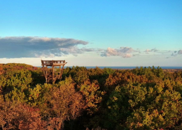 Holden Arboretum Commended for Plans to Enhance Visitor Experience