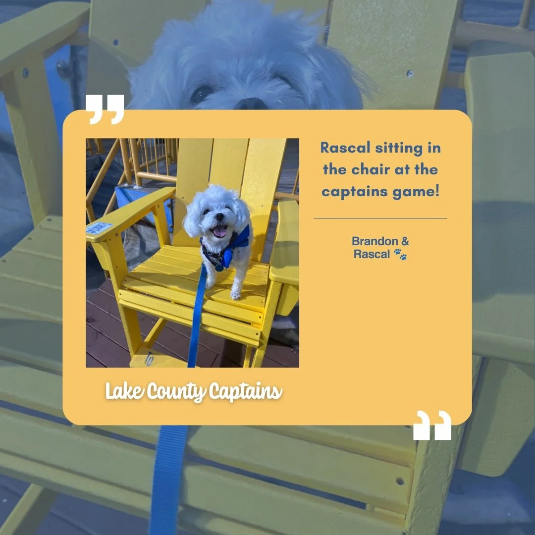 Every seat has a story. 💛
💛The yellow chairs across Lake County, Ohio are collecting stories&mdash;favorite memories, yearly traditions, and special moments from the places you keep coming back to.&nbsp;&nbsp;
💛Find your seat. Hear our stories. Sh
