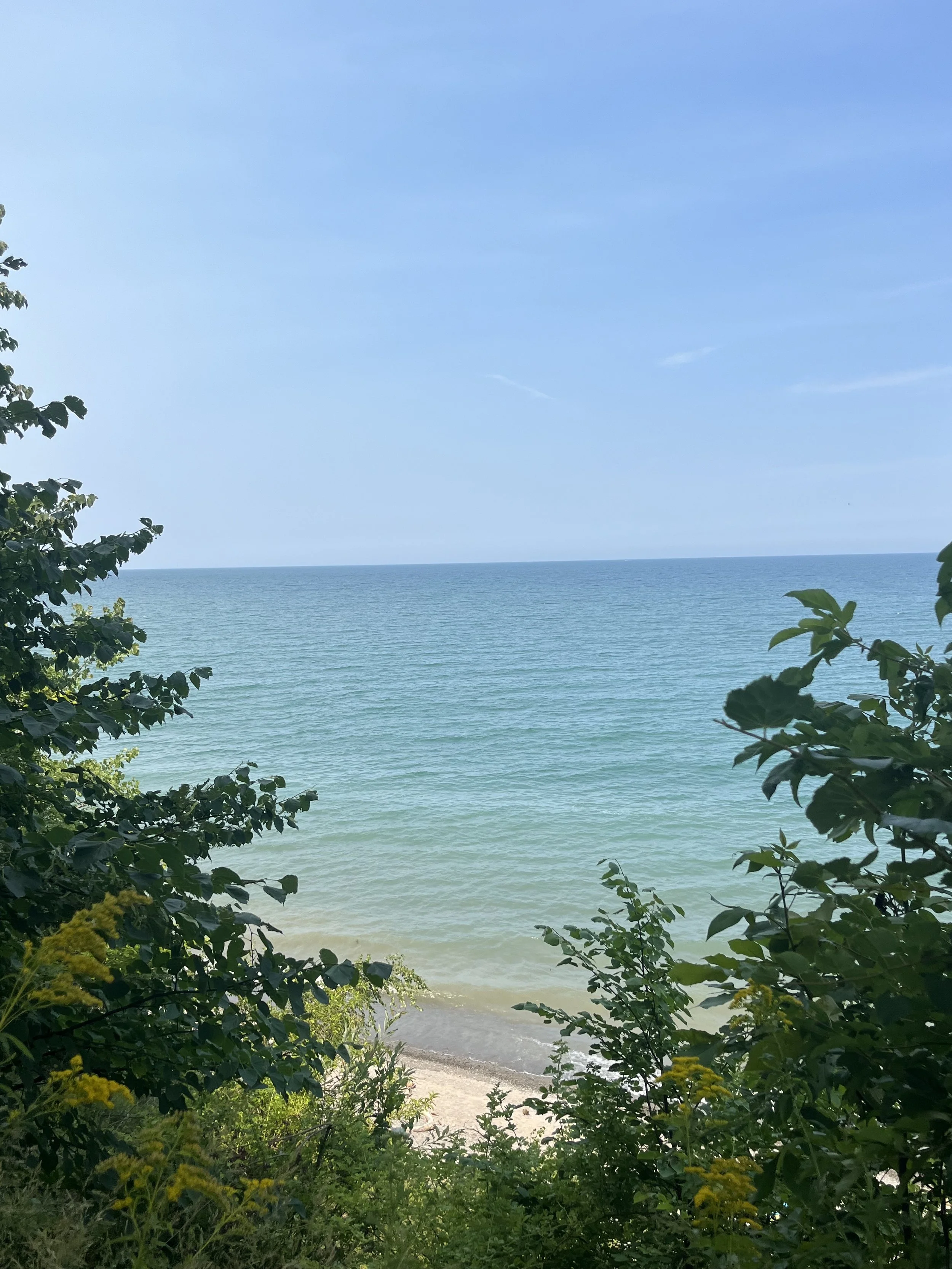 IMG_1734.jpeg