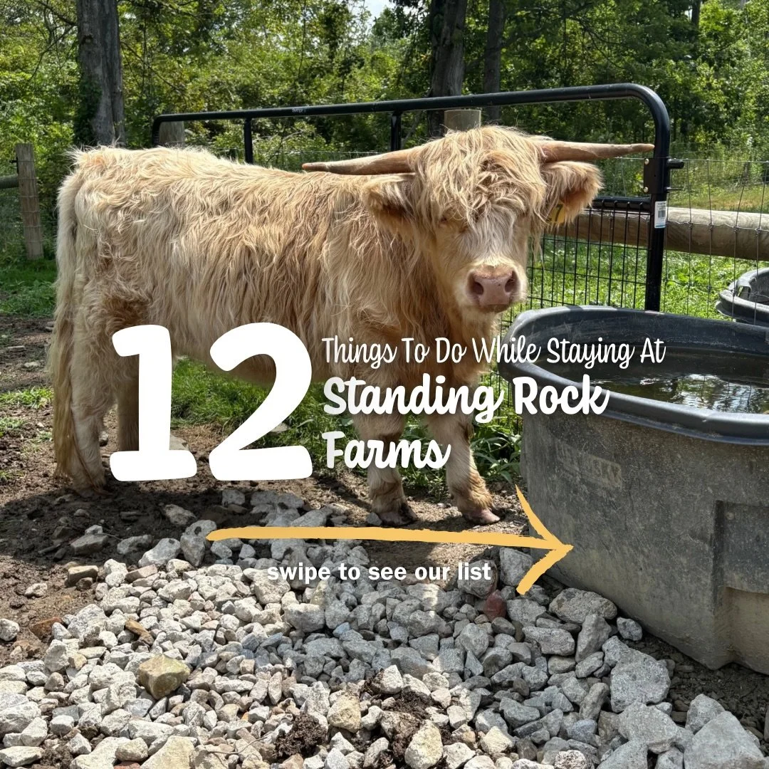 🌿 12 things to do while staying at Standing Rock Farms!
&nbsp;
There&rsquo;s so much more to your stay than just a cozy place to sleep. Spend your getaway exploring, relaxing and making memories right on the property. 🤍
&nbsp;
🎣 Fish Indian Lake
?